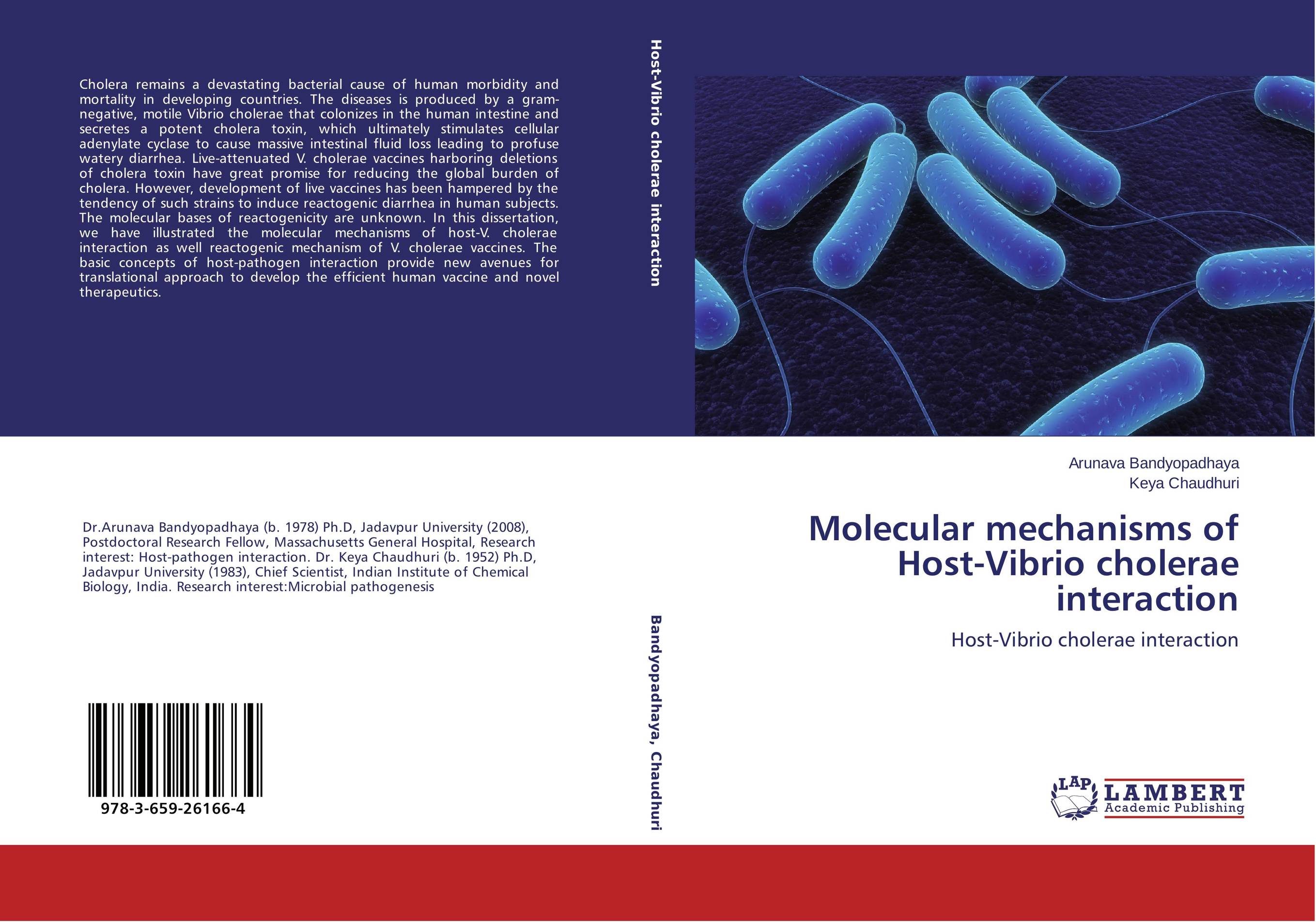 Molecular mechanisms of Host-Vibrio cholerae interaction. Host-Vibrio cholerae interaction.