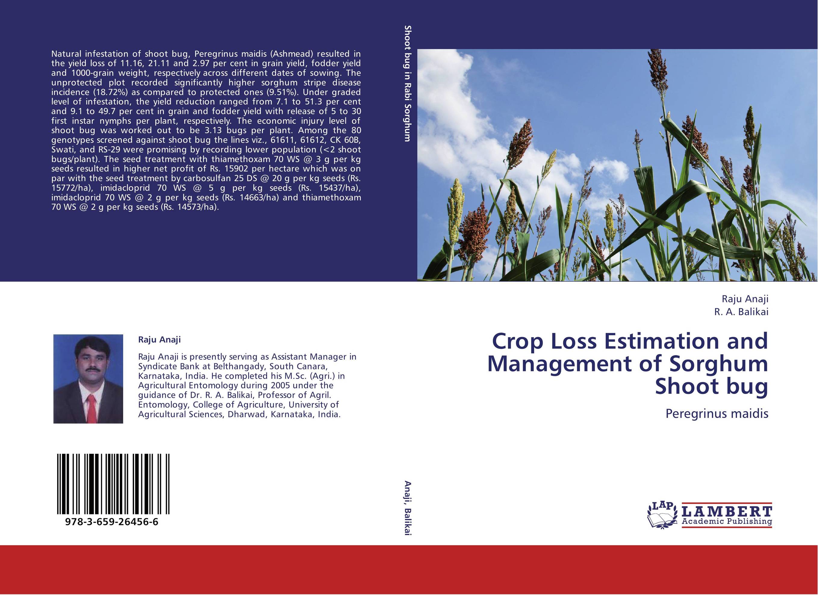Crop Loss Estimation and Management of Sorghum Shoot bug. Peregrinus maidis.