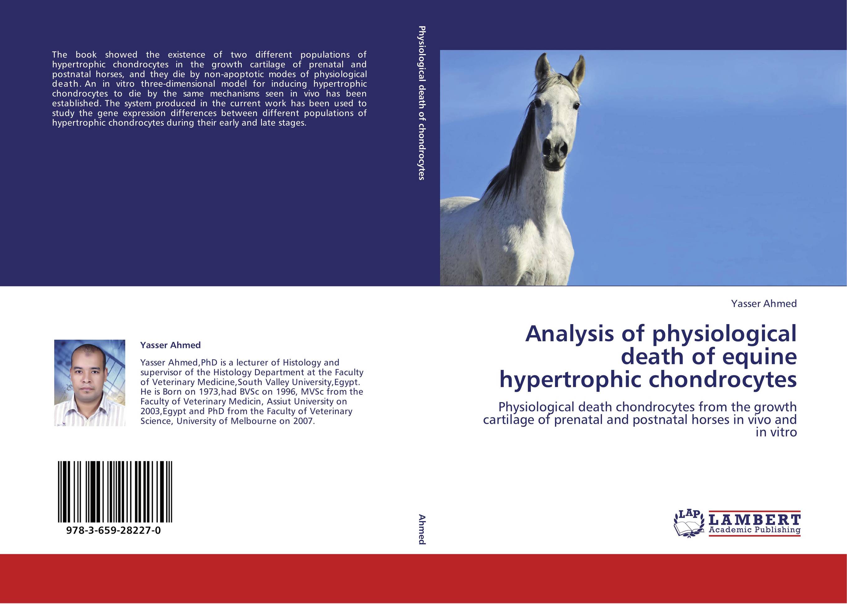 Analysis of physiological death of equine hypertrophic chondrocytes. Physiological death chondrocytes from the growth cartilage of prenatal and postnatal horses in vivo and in vitro.