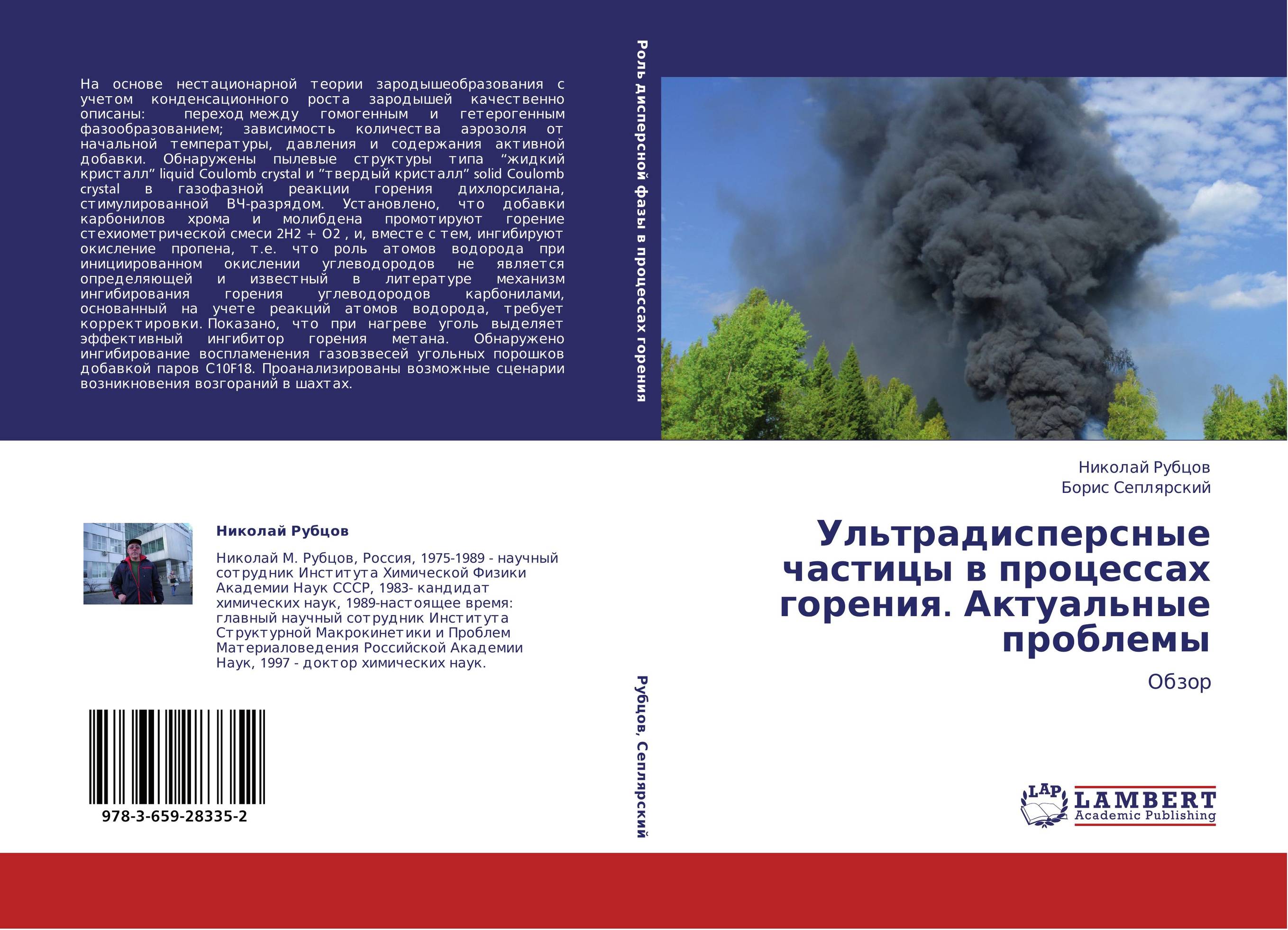 Ультрадисперсные частицы в процессах горения. Актуальные проблемы. Обзор.