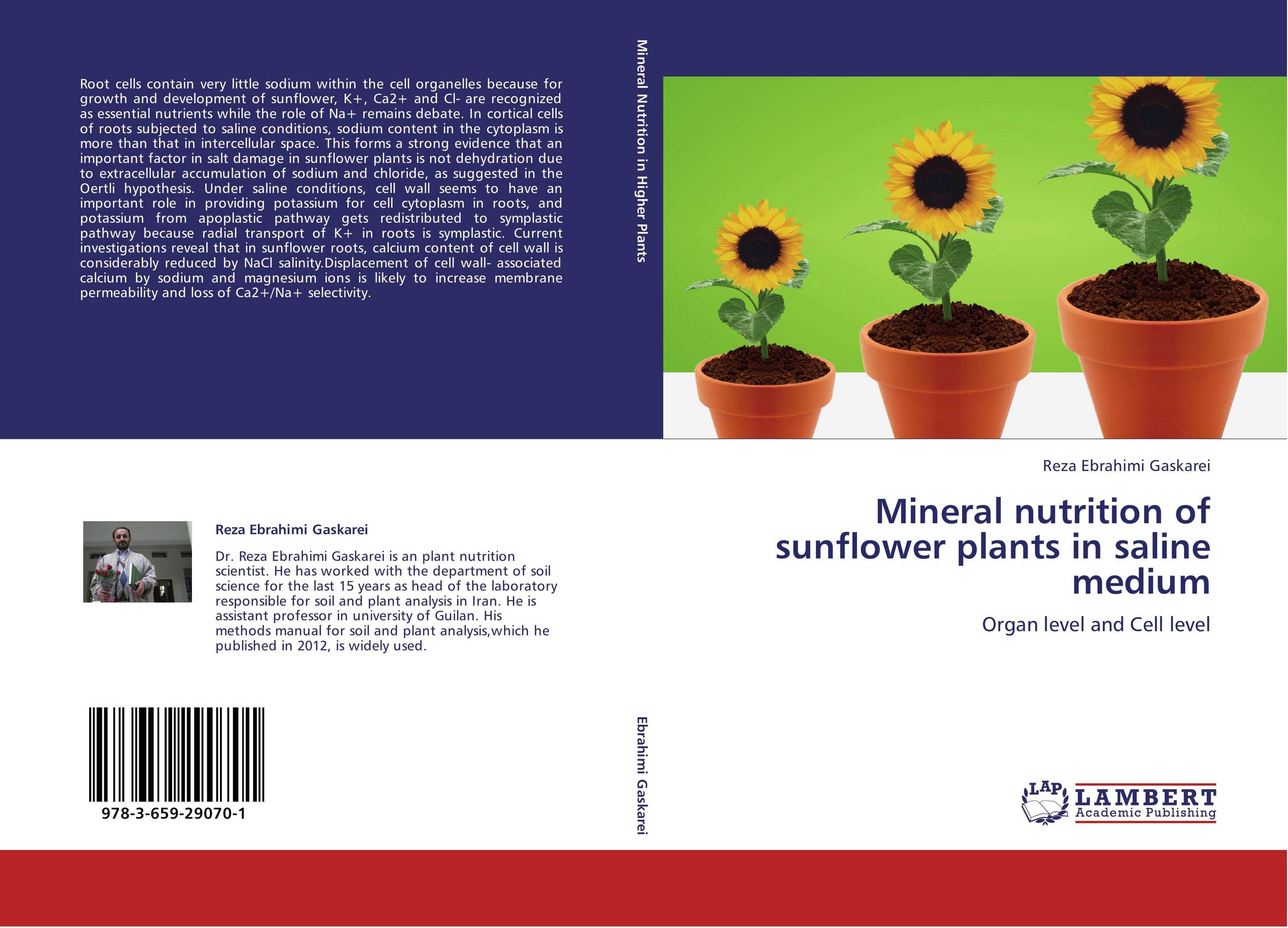 Mineral  nutrition of sunflower plants in saline medium. Organ level and Cell level.