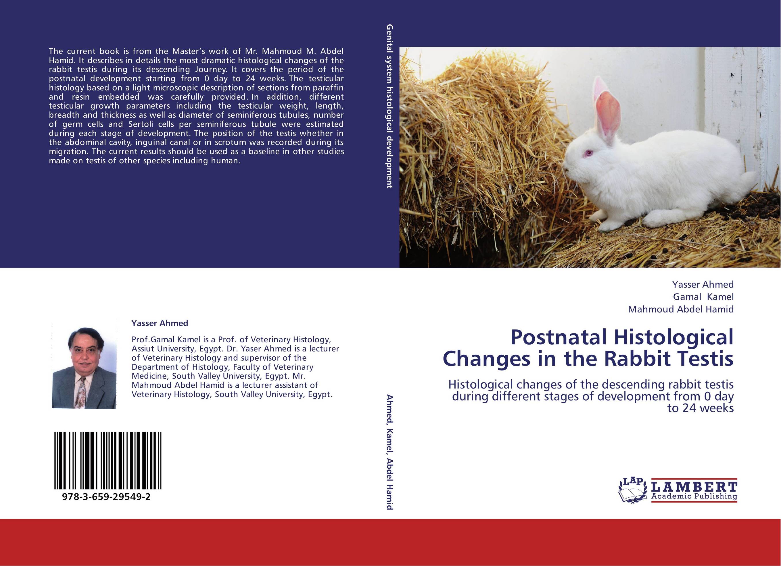 Postnatal Histological Changes in the Rabbit Testis. Histological changes of the descending rabbit testis during different stages of development from 0 day to 24 weeks.