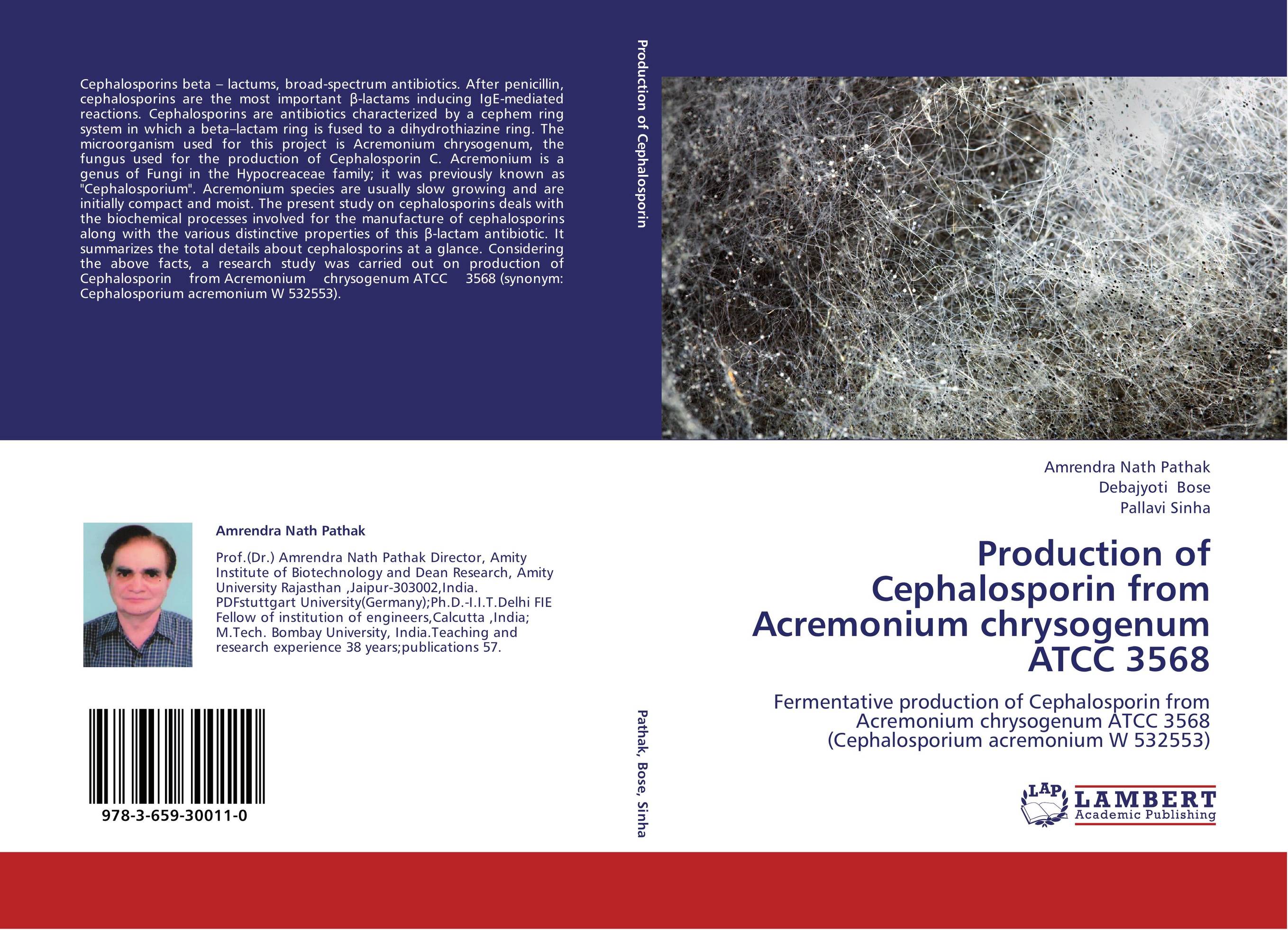 Production of Cephalosporin from Acremonium chrysogenum ATCC 3568. Fermentative production of Cephalosporin from Acremonium chrysogenum ATCC 3568 (Cephalosporium acremonium W 532553).