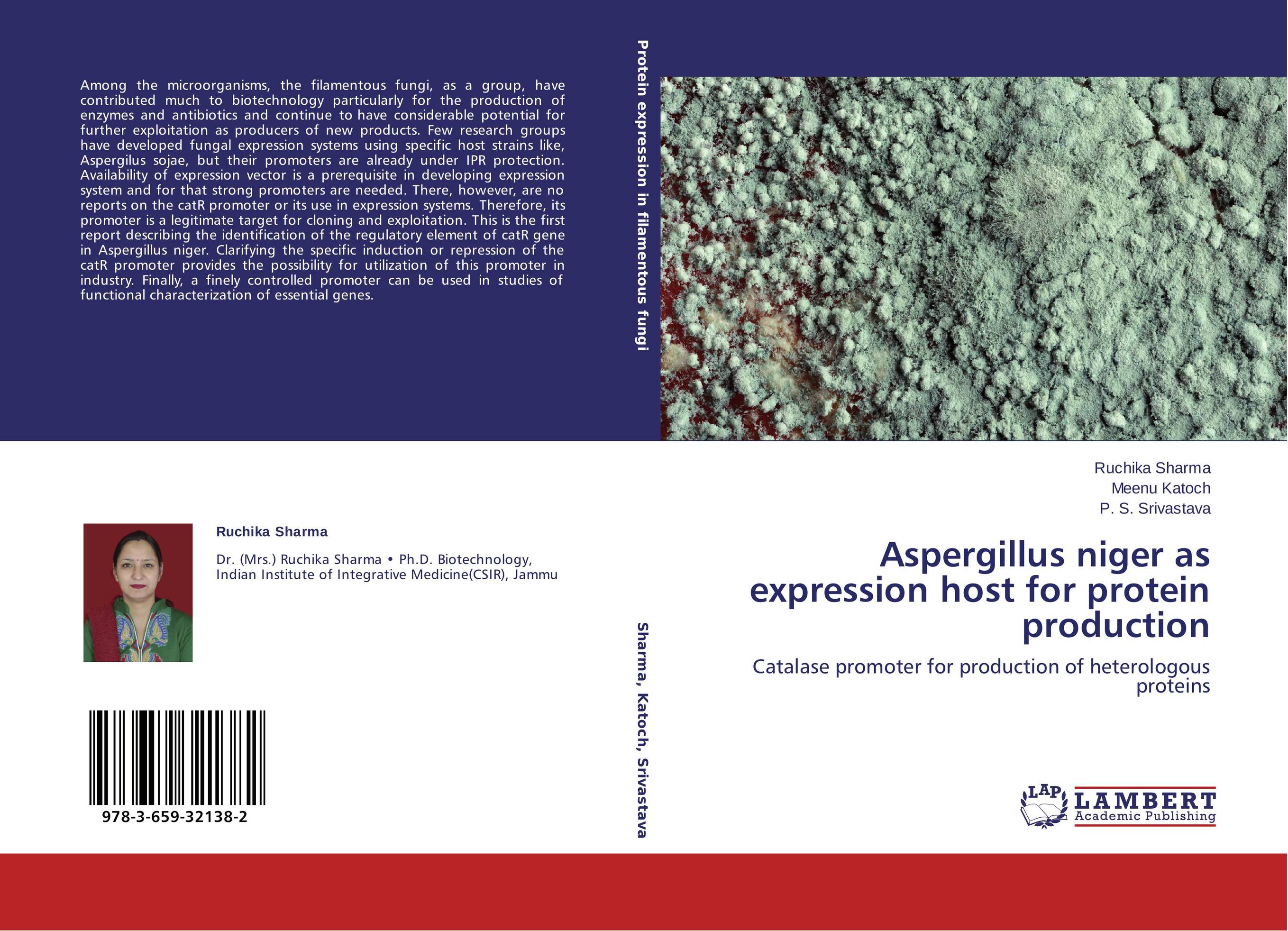 Aspergillus niger as expression host for protein production. Catalase promoter for production of heterologous proteins.