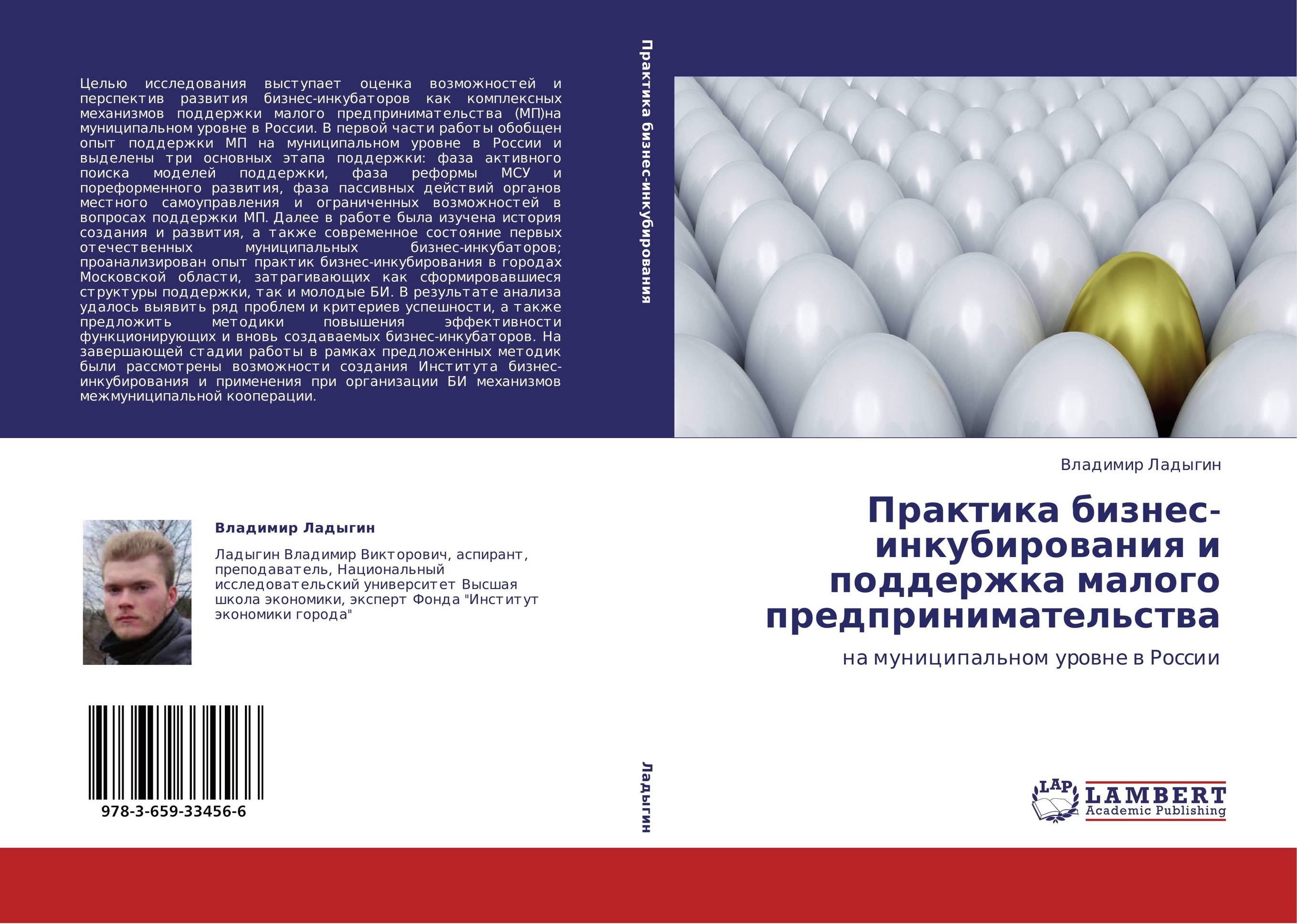 Практика бизнес-инкубирования и поддержка малого предпринимательства. На муниципальном уровне в России.