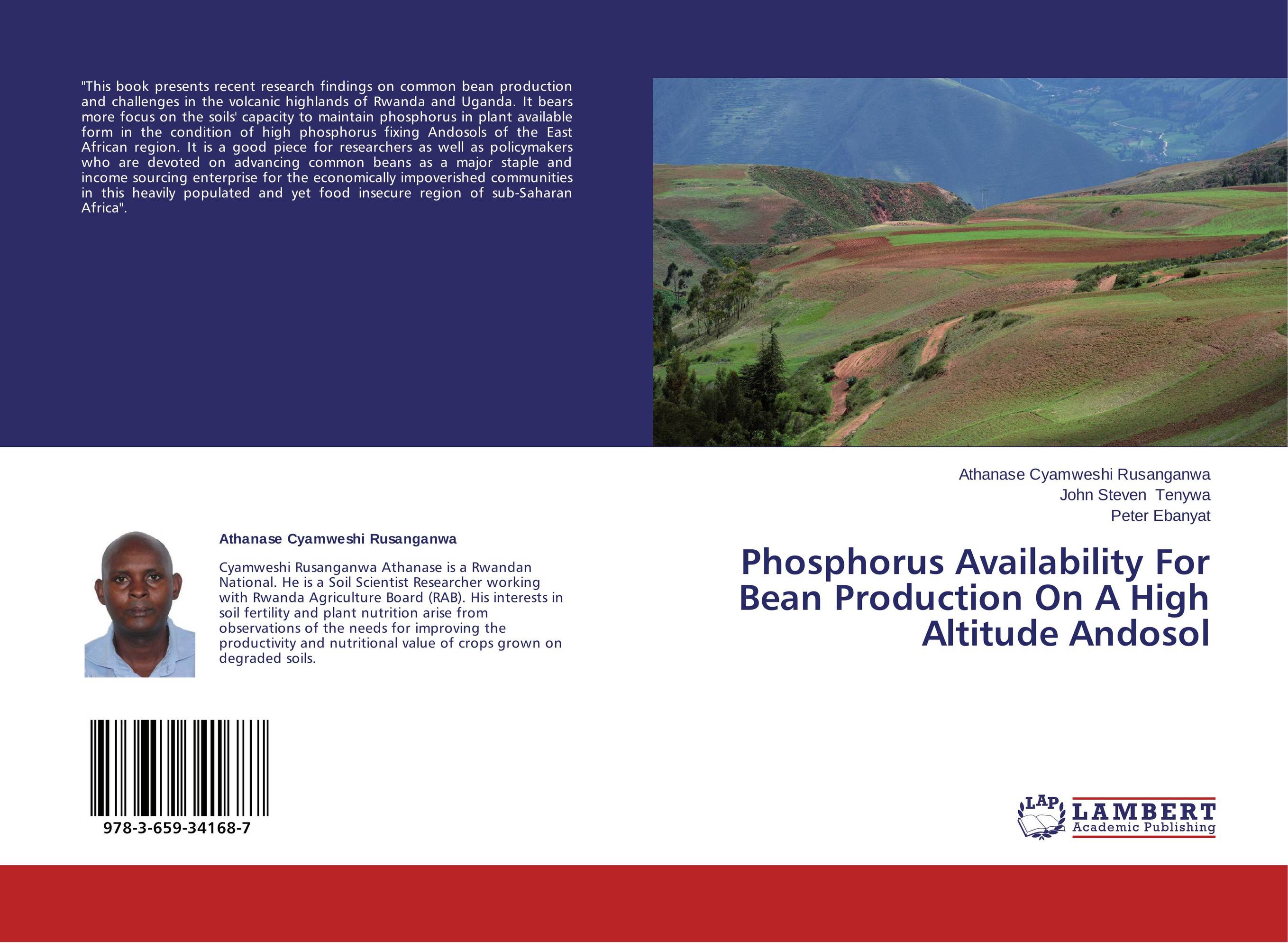 Phosphorus Availability For Bean Production On A High Altitude Andosol..