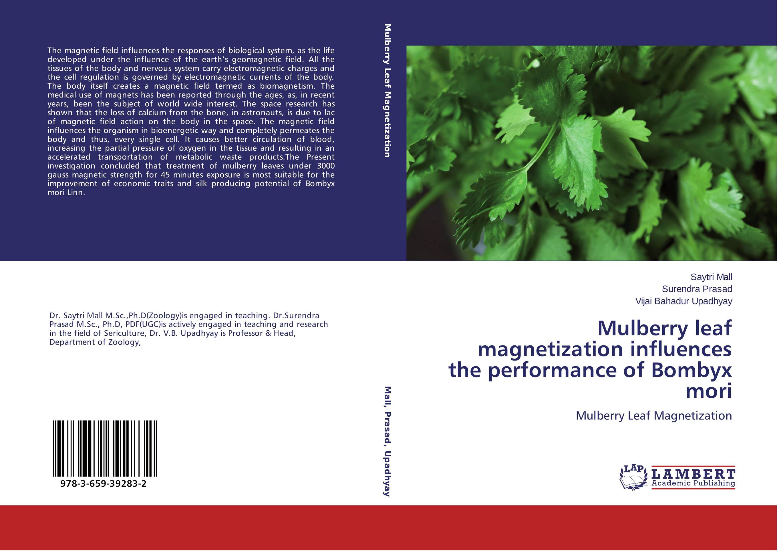 Mulberry leaf magnetization influences the performance of Bombyx mori. Mulberry Leaf Magnetization.