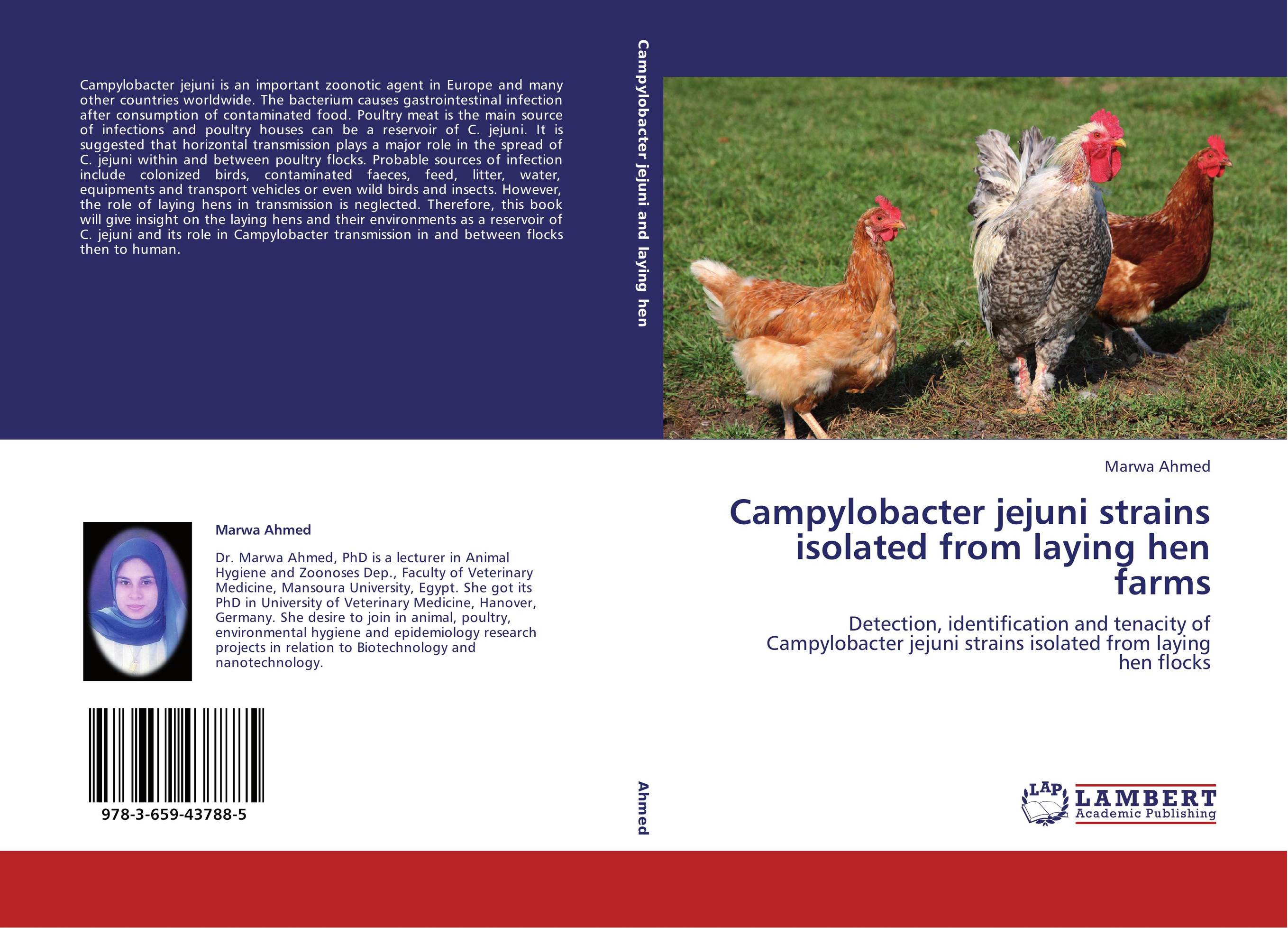 Campylobacter jejuni strains isolated from laying hen farms. Detection, identification and tenacity of Campylobacter jejuni strains isolated from laying hen flocks.