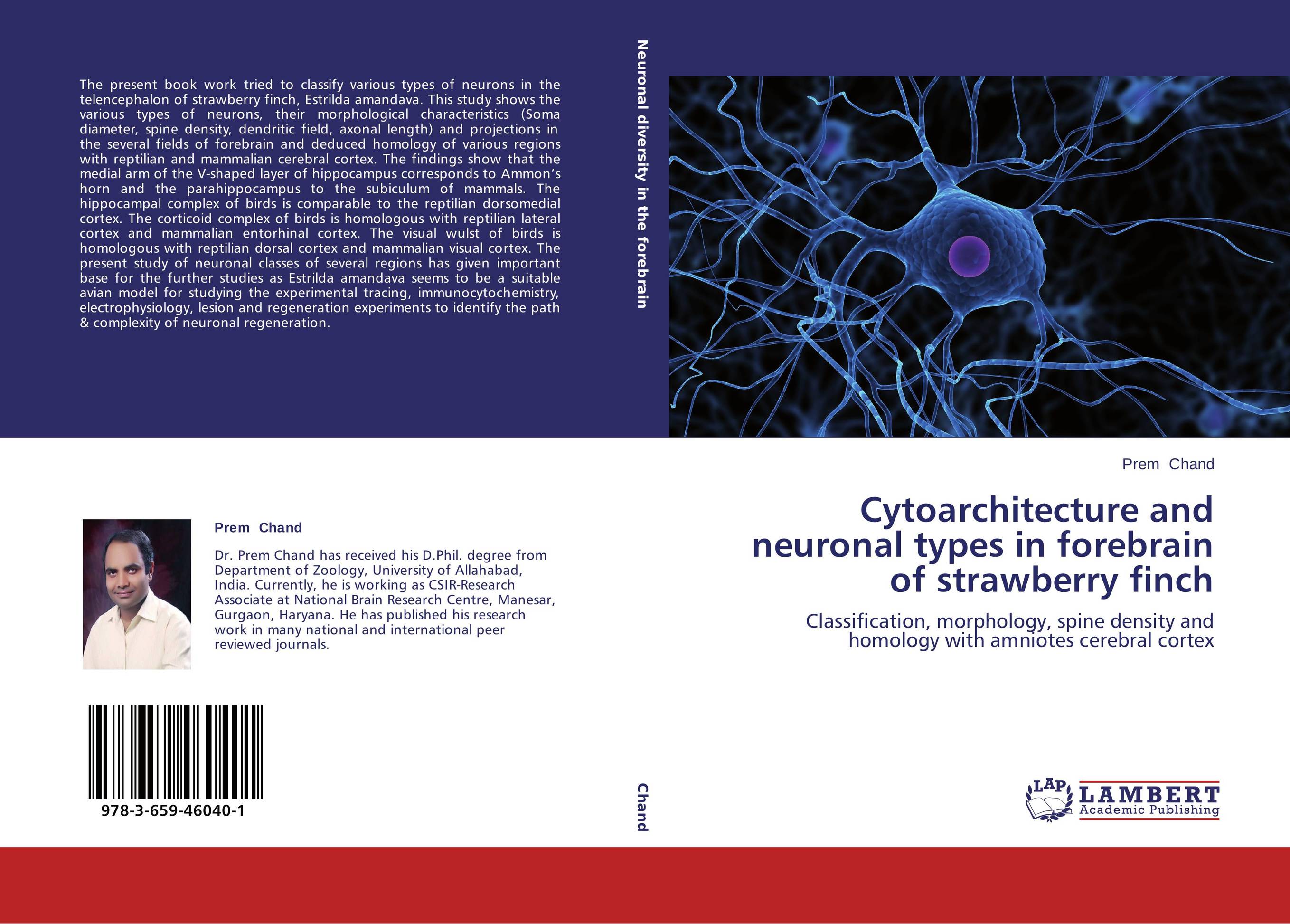 Cytoarchitecture and neuronal types in forebrain of strawberry finch. Classification, morphology, spine density and homology with amniotes cerebral cortex.