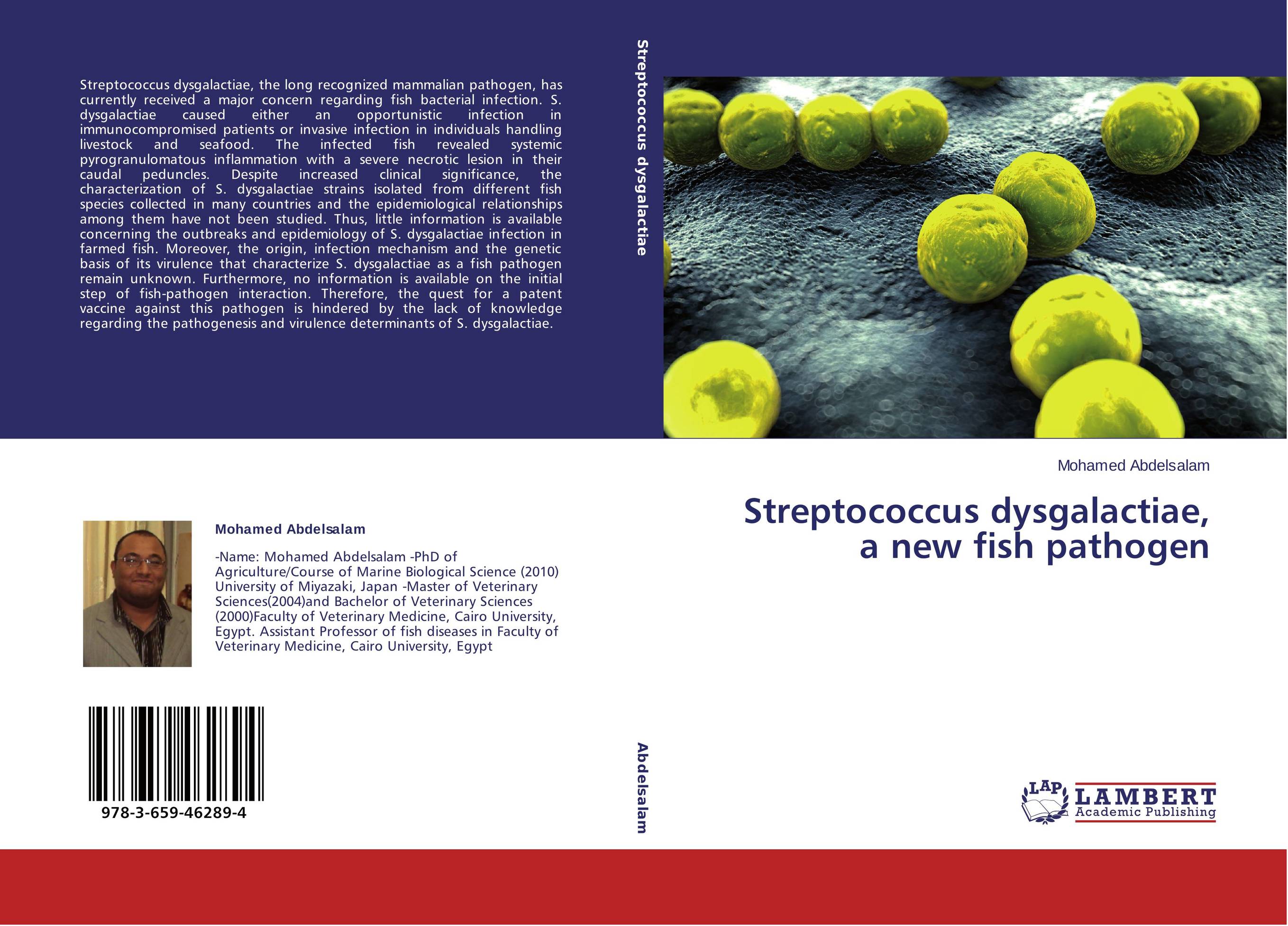 Streptococcus dysgalactiae, a new fish pathogen..