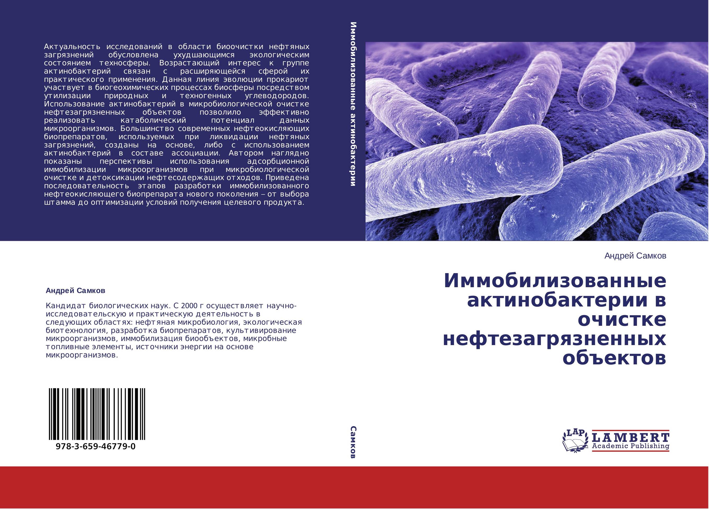 Иммобилизованные актинобактерии в очистке нефтезагрязненных объектов..