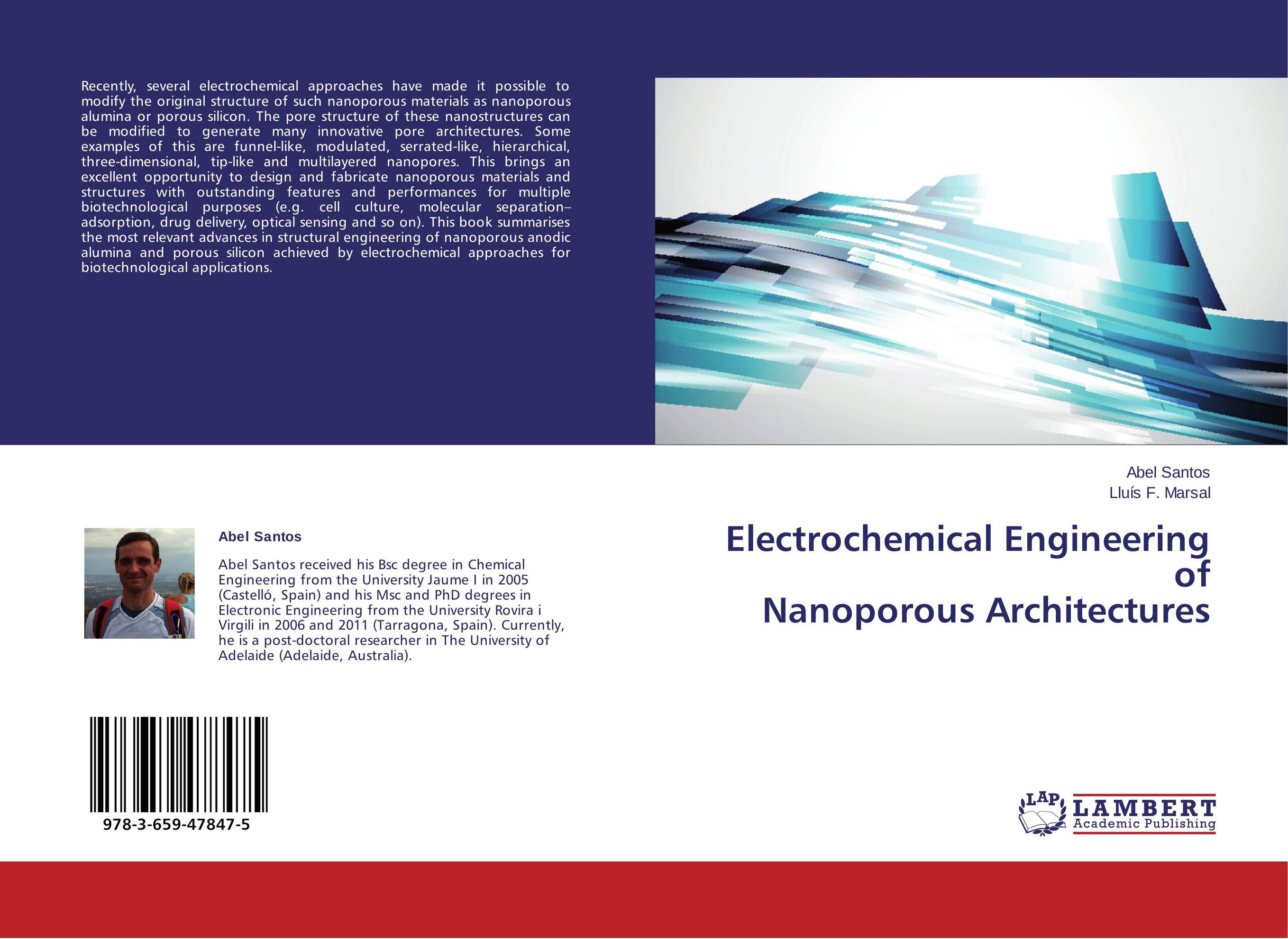 Electrochemical Engineering of Nanoporous Architectures..