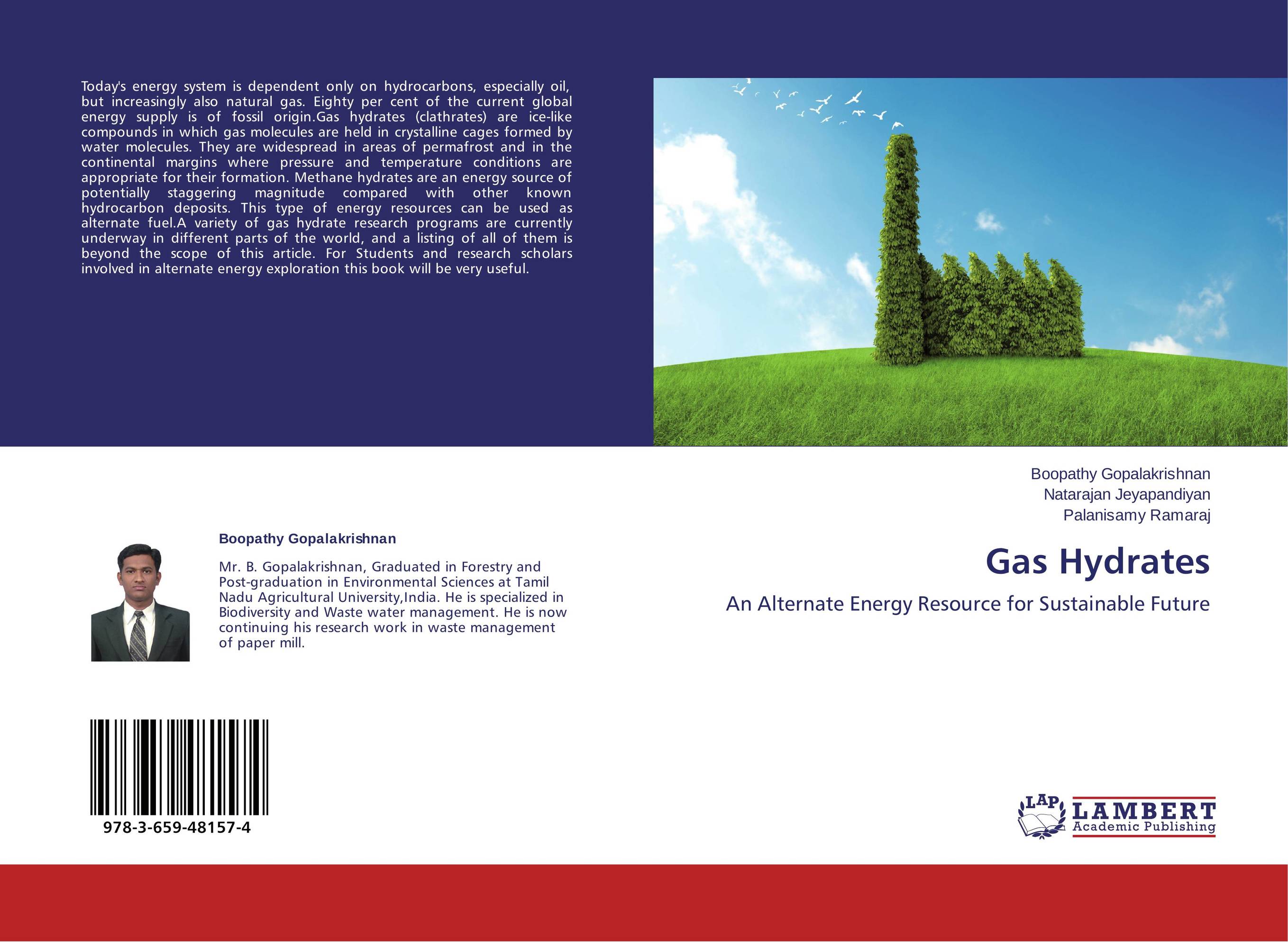Gas Hydrates. An Alternate Energy Resource for Sustainable Future.