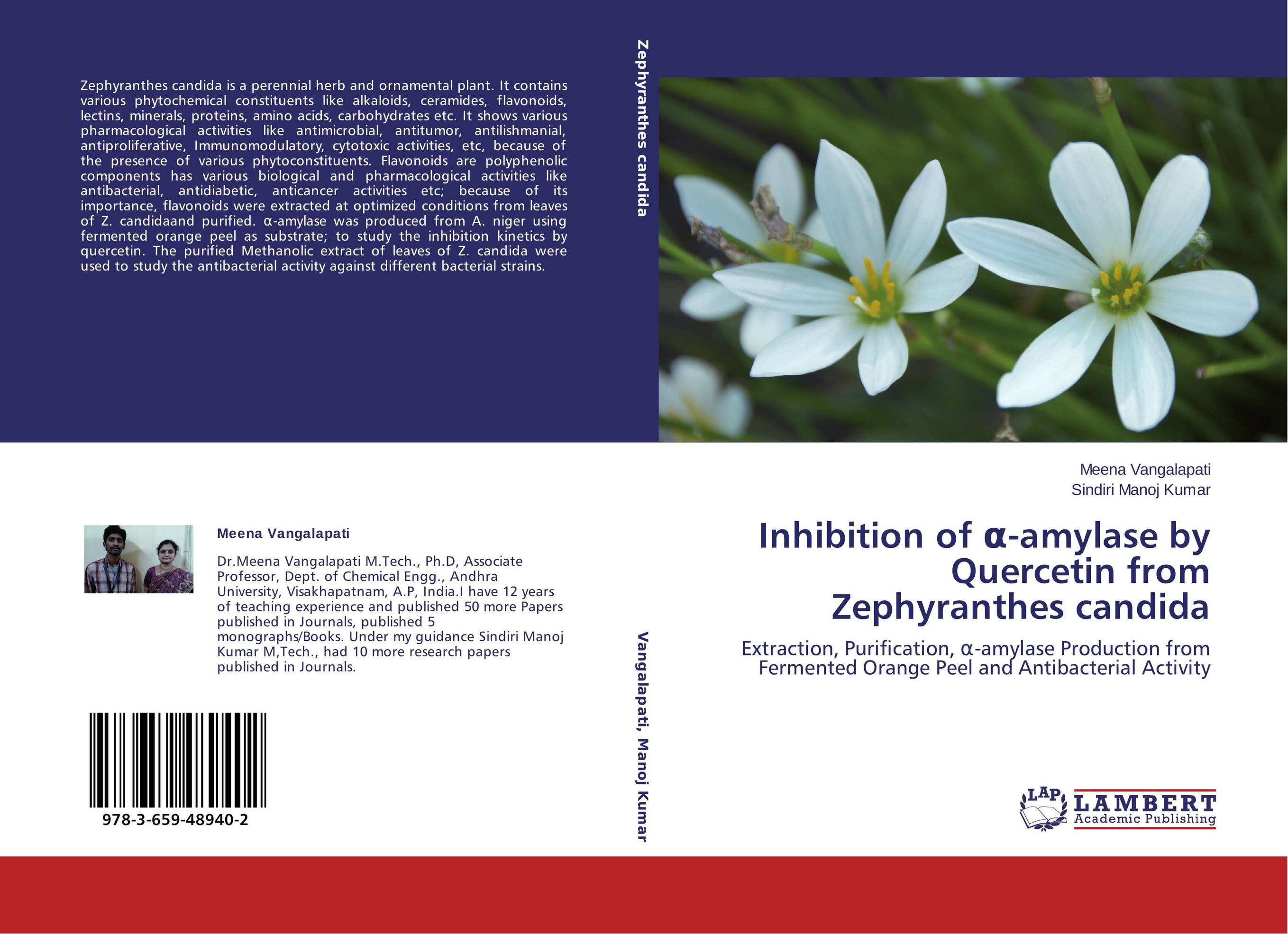 Inhibition of ?-amylase by Quercetin from Zephyranthes candida. Extraction, Purification, ?-amylase Production from Fermented Orange Peel and Antibacterial Activity.