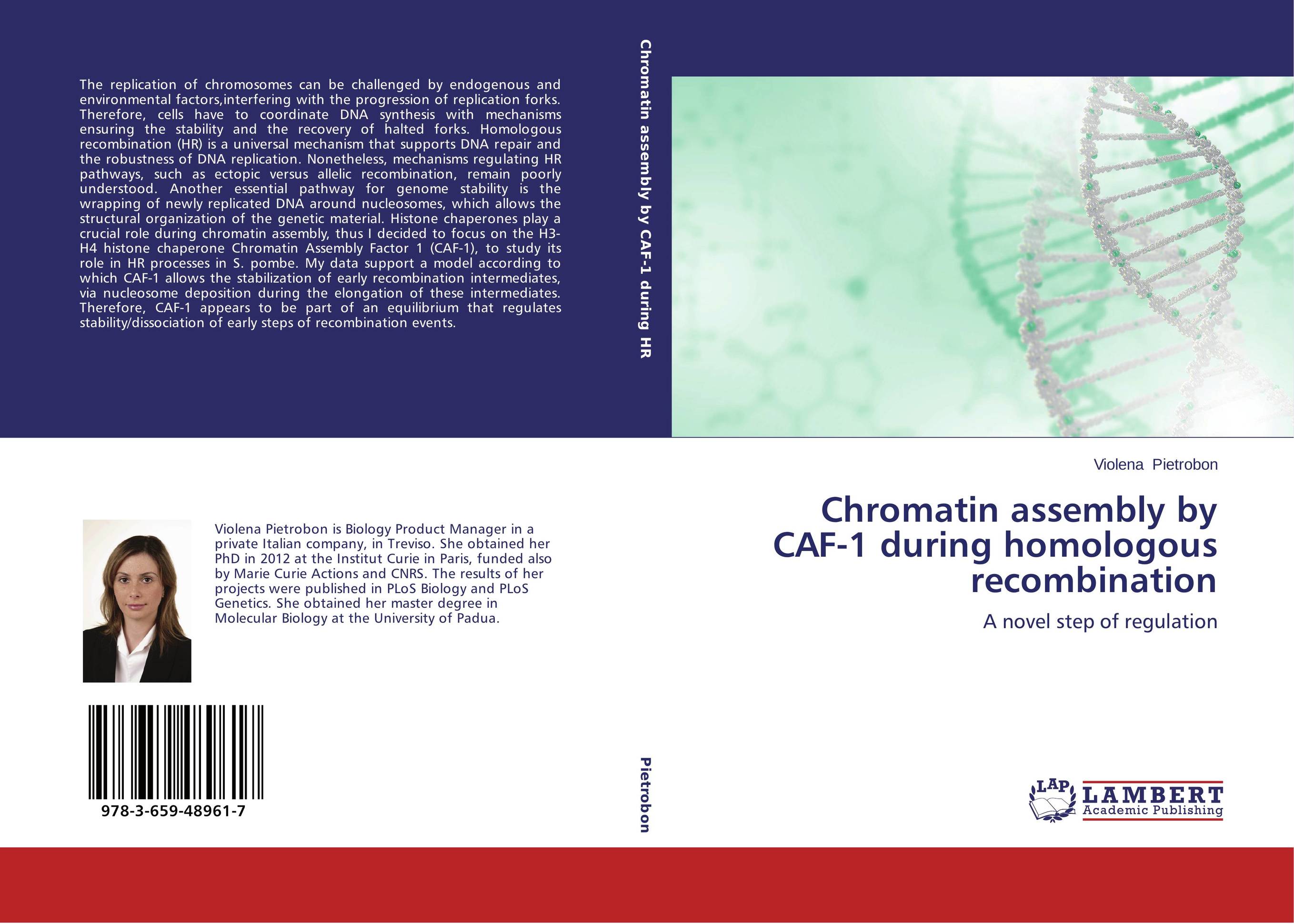 Chromatin assembly by CAF-1 during homologous recombination. A novel step of regulation.