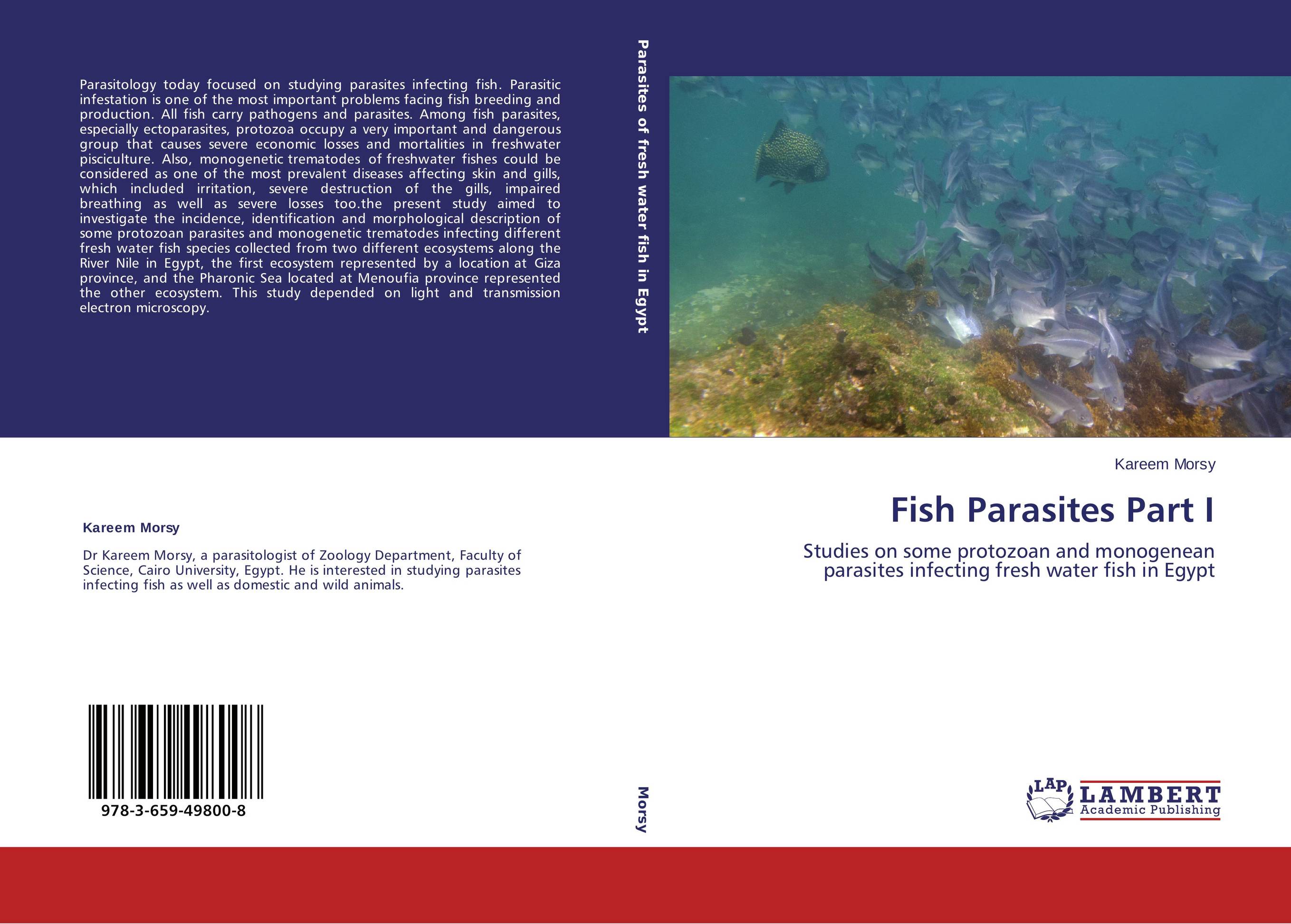 Fish Parasites Part I. Studies on some protozoan and monogenean parasites infecting fresh water fish in Egypt.