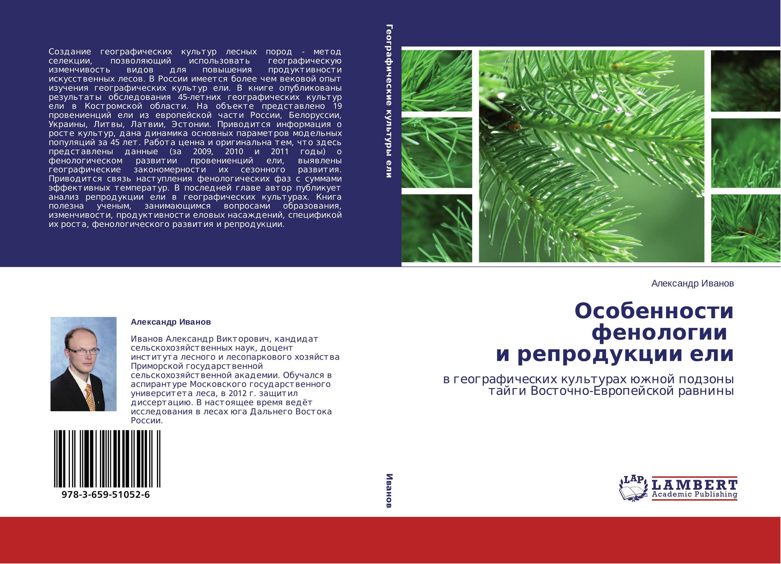 Особенности фенологии и репродукции ели. В географических культурах южной подзоны тайги Восточно-Европейской равнины.