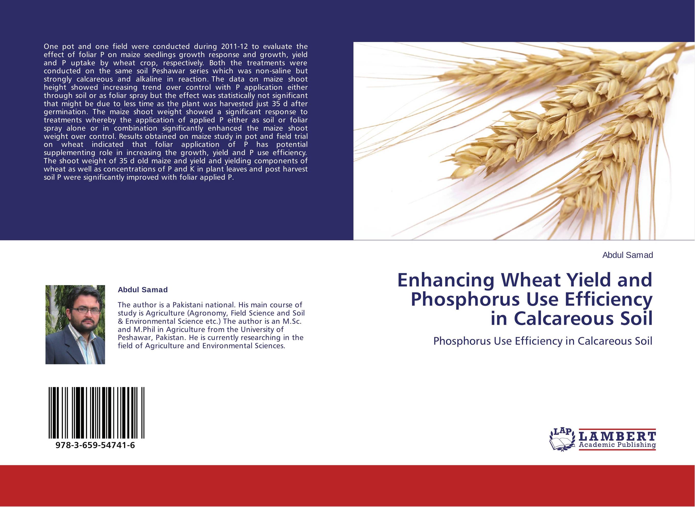 Enhancing Wheat Yield and Phosphorus Use Efficiency in Calcareous Soil. Phosphorus Use Efficiency in Calcareous Soil.