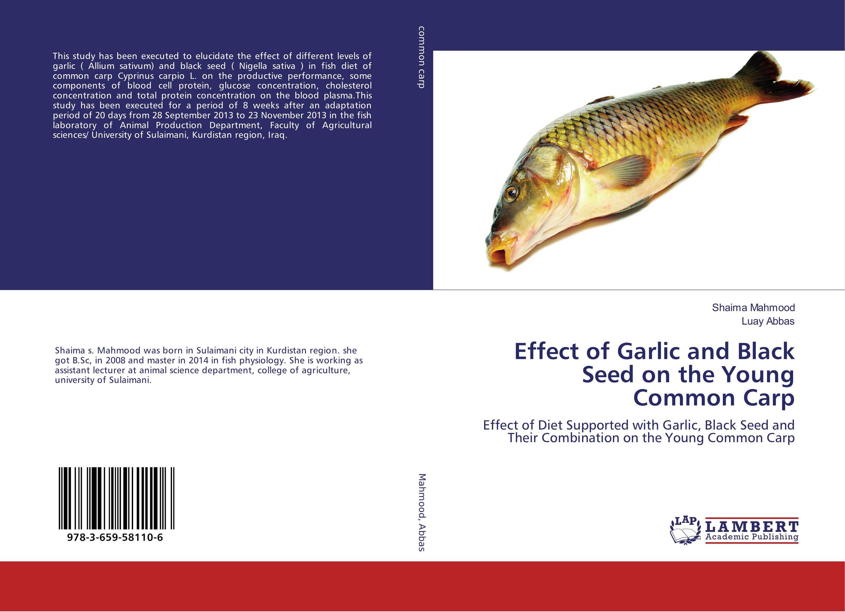 Effect of Garlic and Black Seed on the Young Common Carp. Effect of Diet Supported with Garlic, Black Seed and Their Combination on the Young Common Carp.