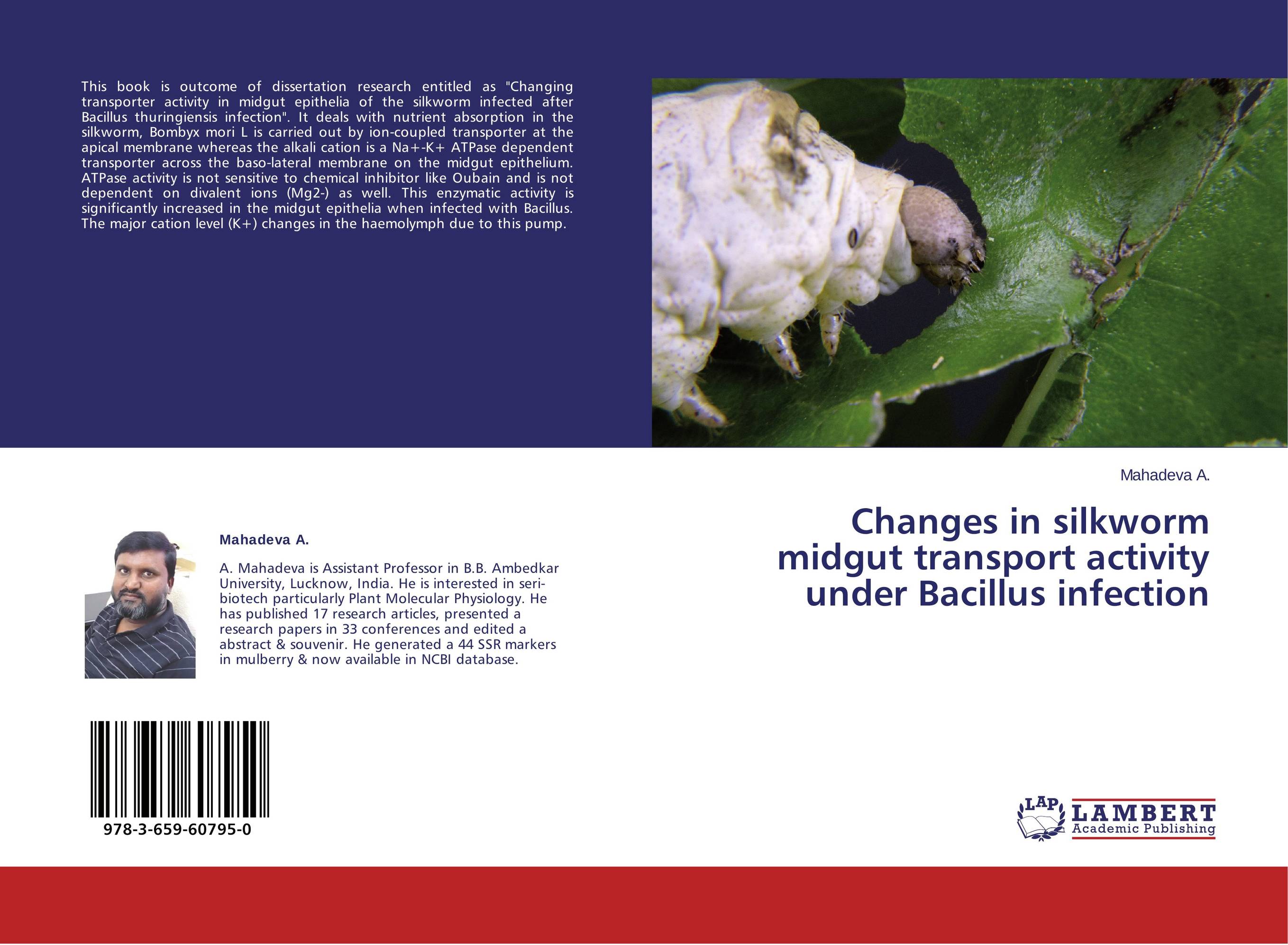 Changes in silkworm midgut transport activity under Bacillus infection..
