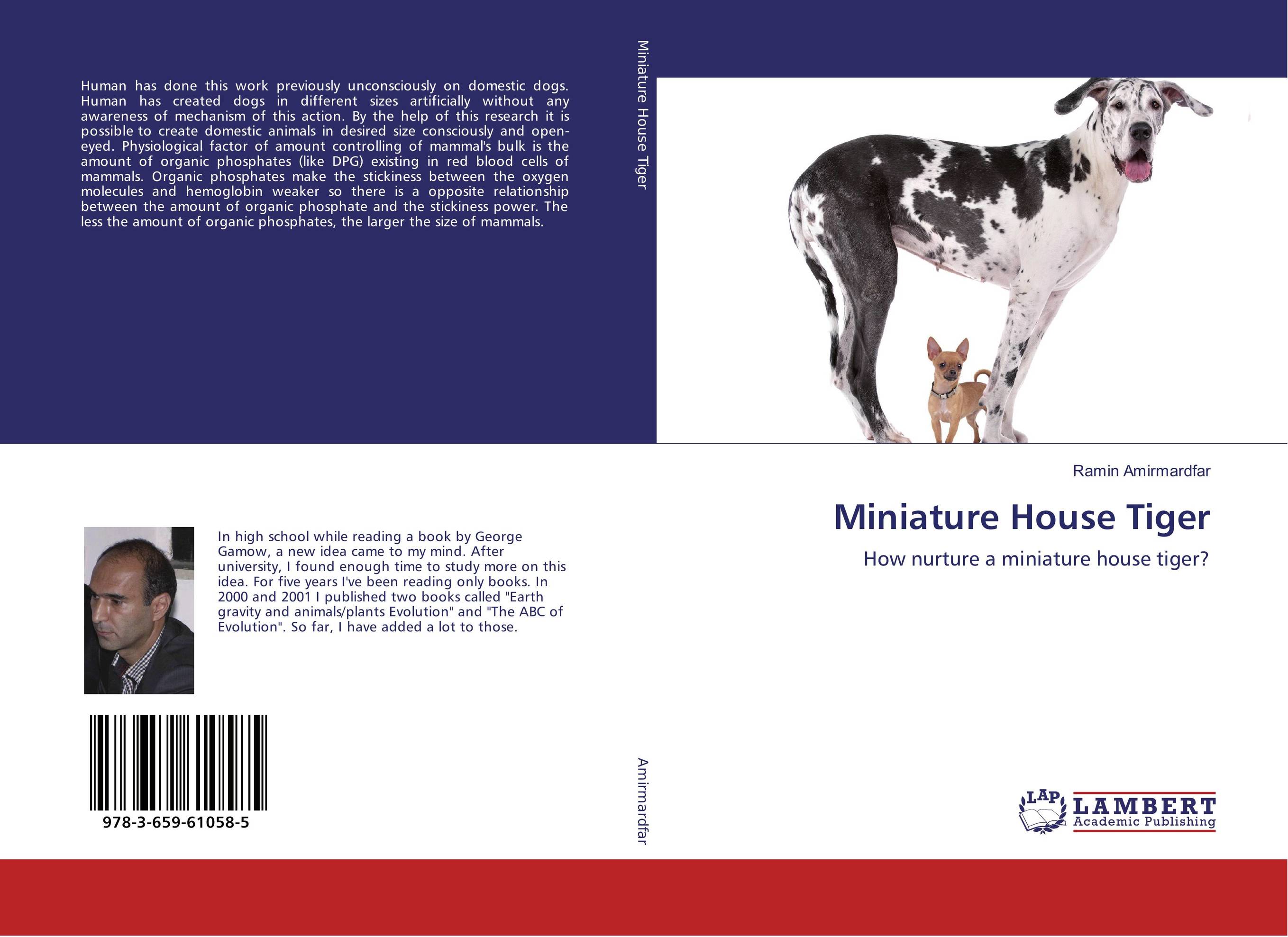 Miniature House Tiger. How nurture a miniature house tiger?.