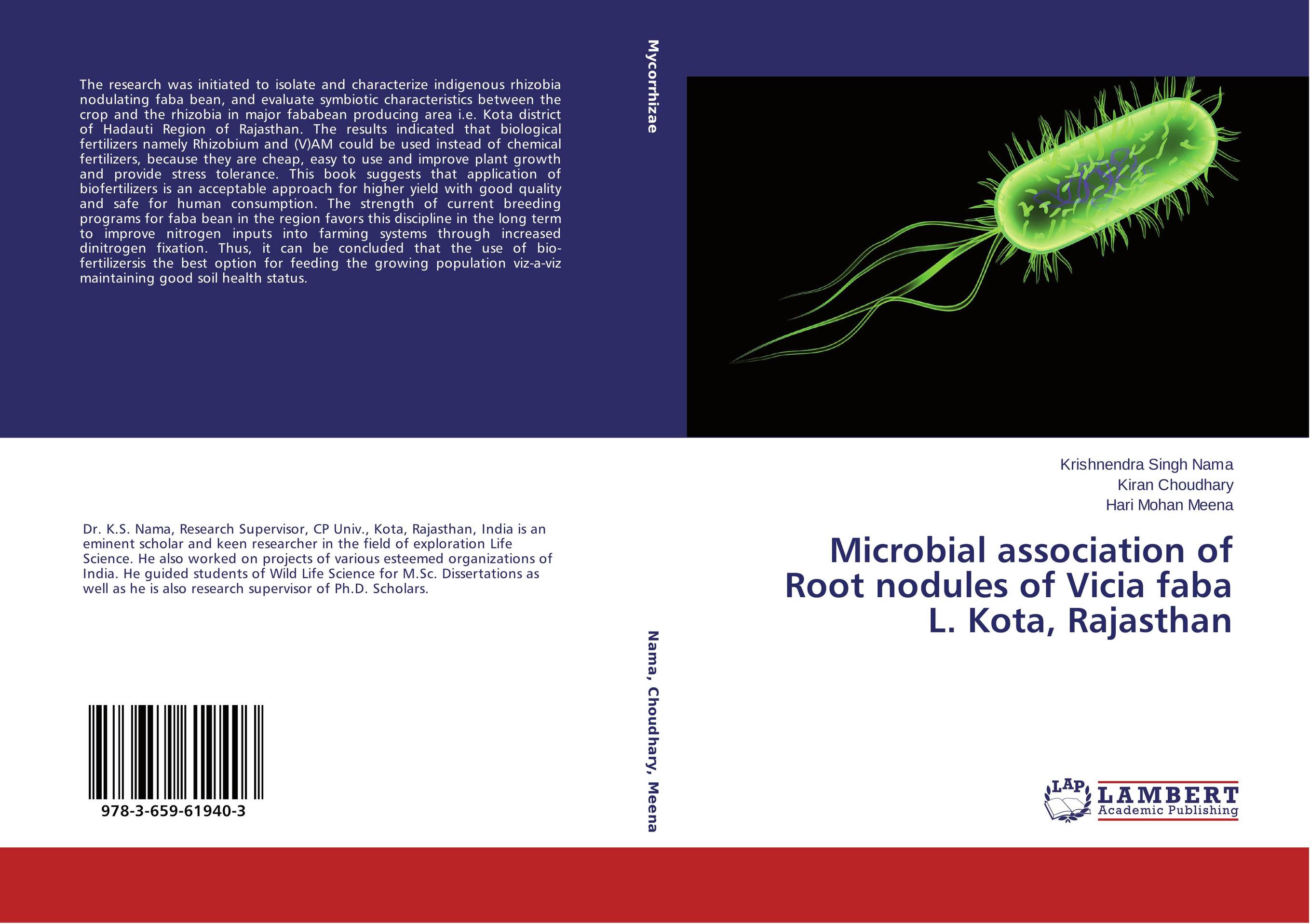 Microbial association of Root nodules of Vicia faba L. Kota, Rajasthan..