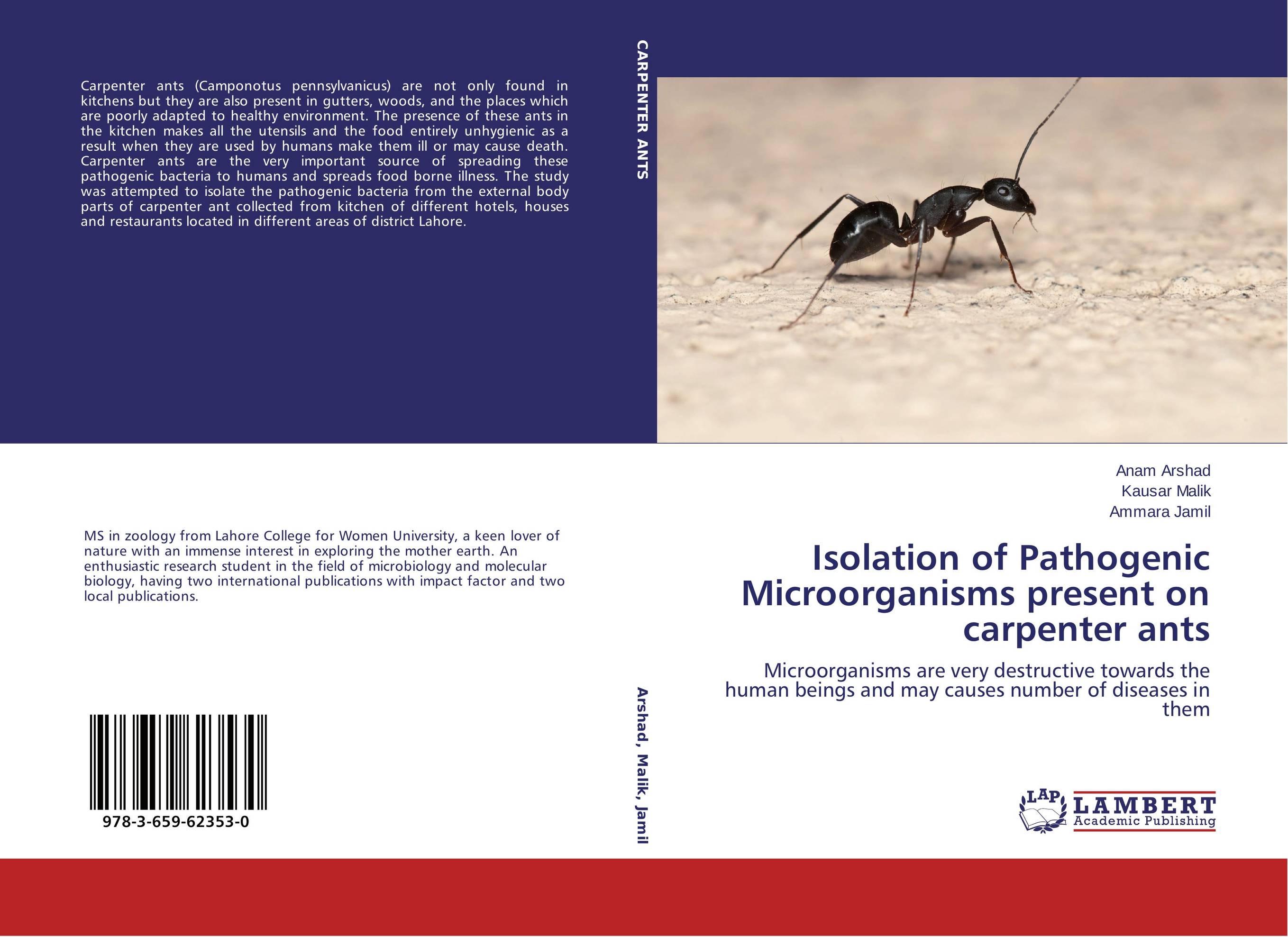 Isolation of Pathogenic Microorganisms present on carpenter ants. Microorganisms are very destructive towards the human beings and may causes number of diseases in them.