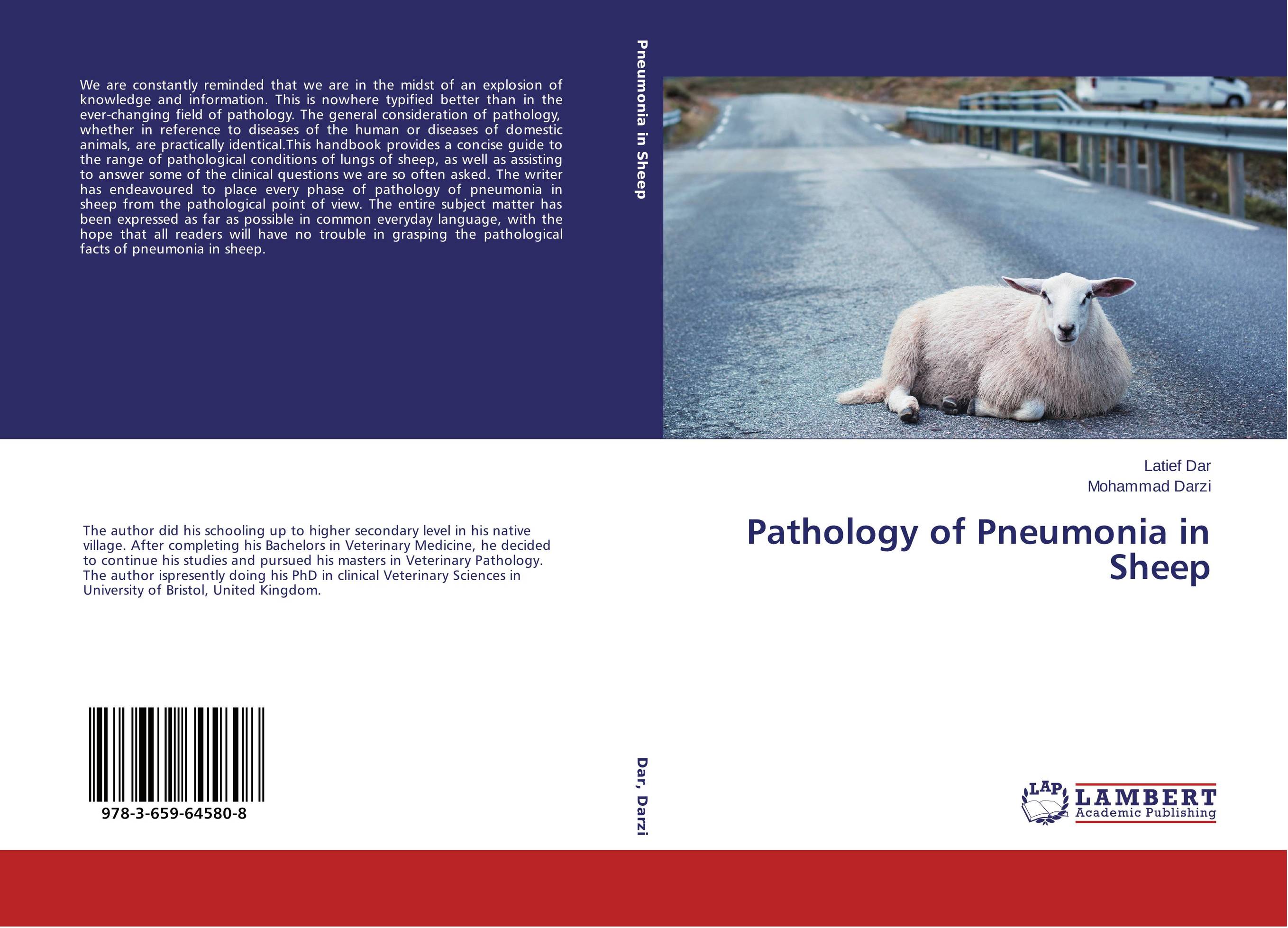 Pathology of Pneumonia in Sheep..