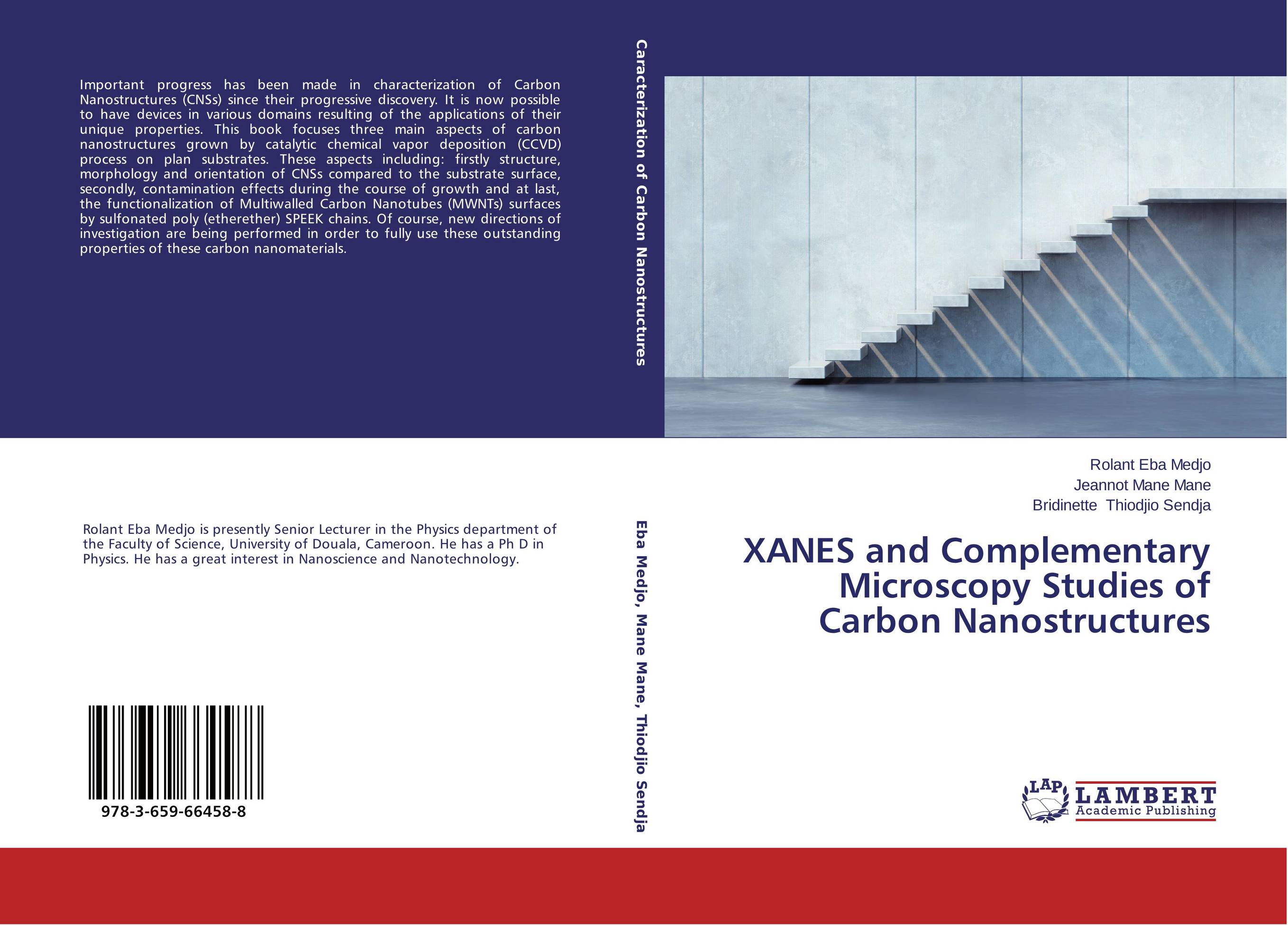 XANES and Complementary Microscopy Studies of Carbon Nanostructures..