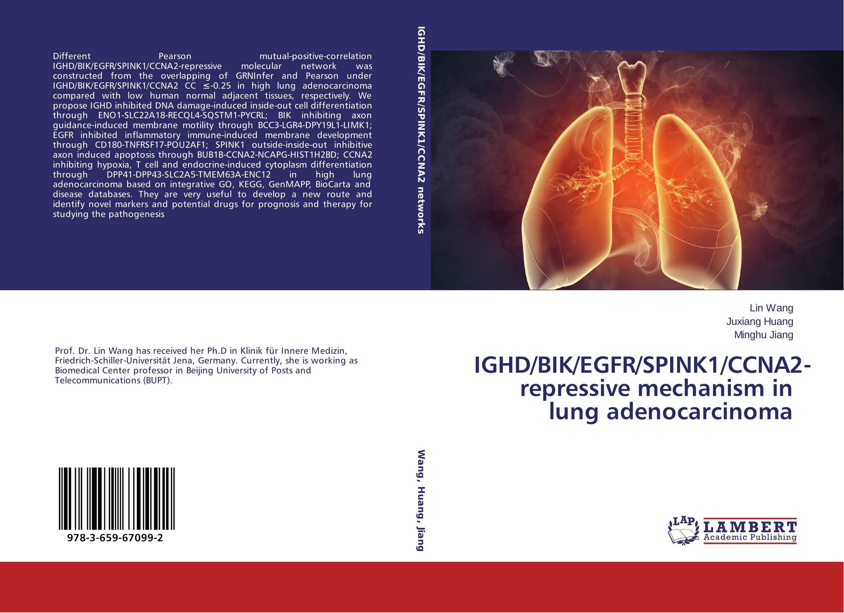 IGHD/BIK/EGFR/SPINK1/CCNA2-repressive mechanism in lung adenocarcinoma..