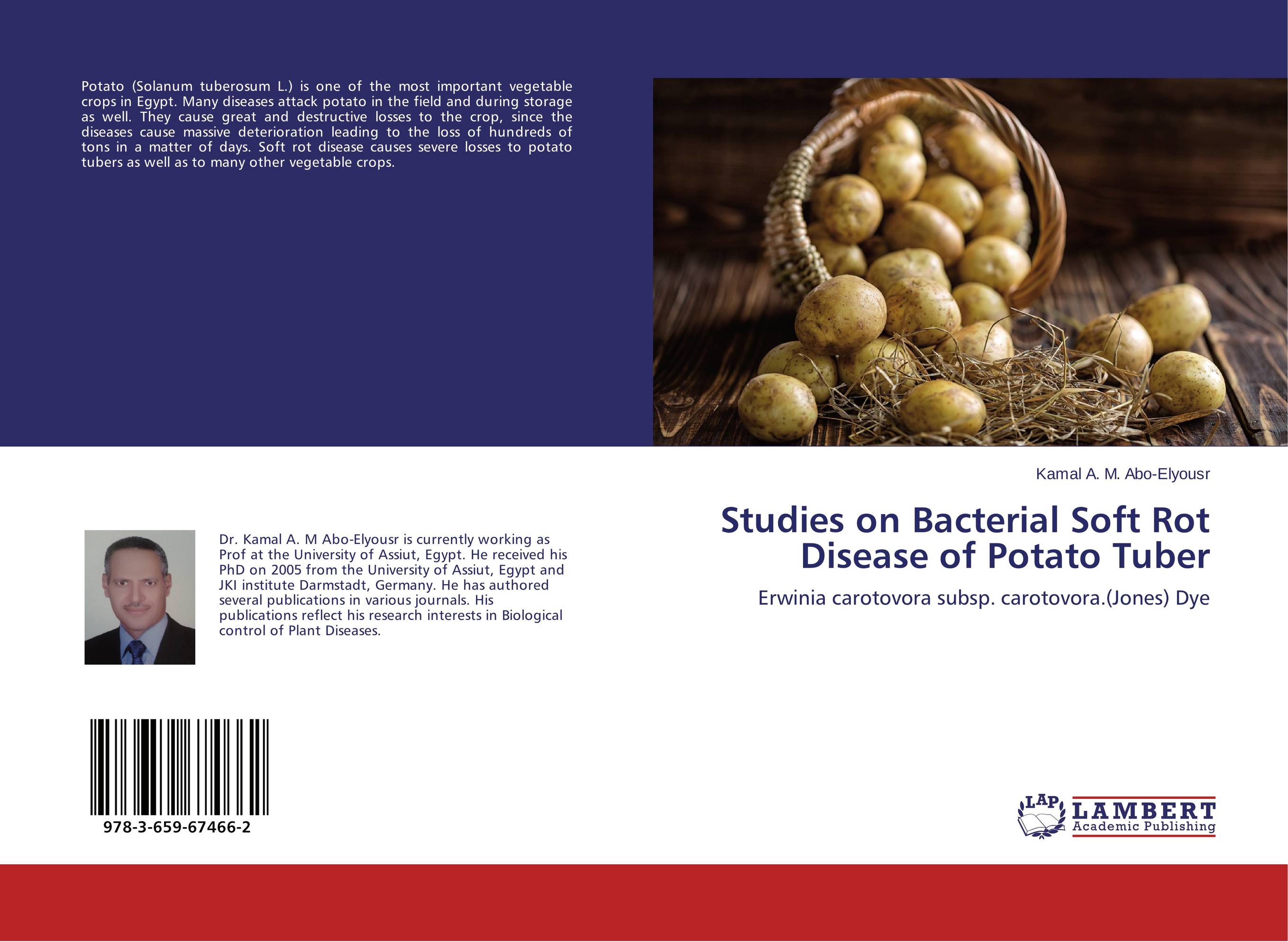 Studies on Bacterial Soft Rot Disease of Potato Tuber. Erwinia carotovora subsp. carotovora.(Jones) Dye.
