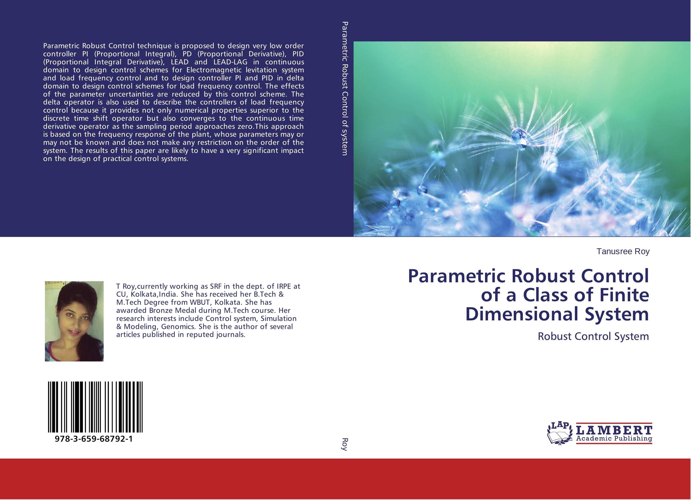 Parametric Robust Control of a Class of Finite Dimensional System. Robust Control System.