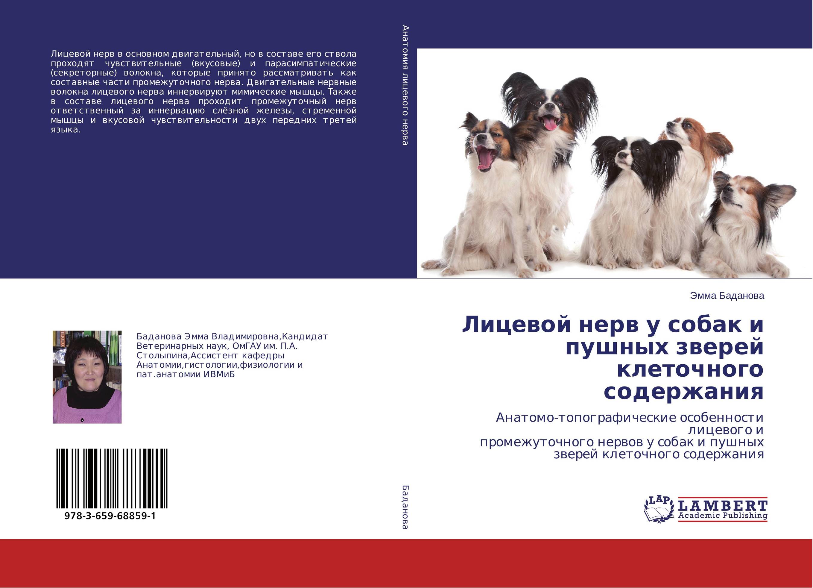 
        Лицевой нерв у собак и пушных зверей клеточного содержания. Анатомо-топографические особенности лицевого и промежуточного нервов у собак и пушных зверей клеточного содержания.
      