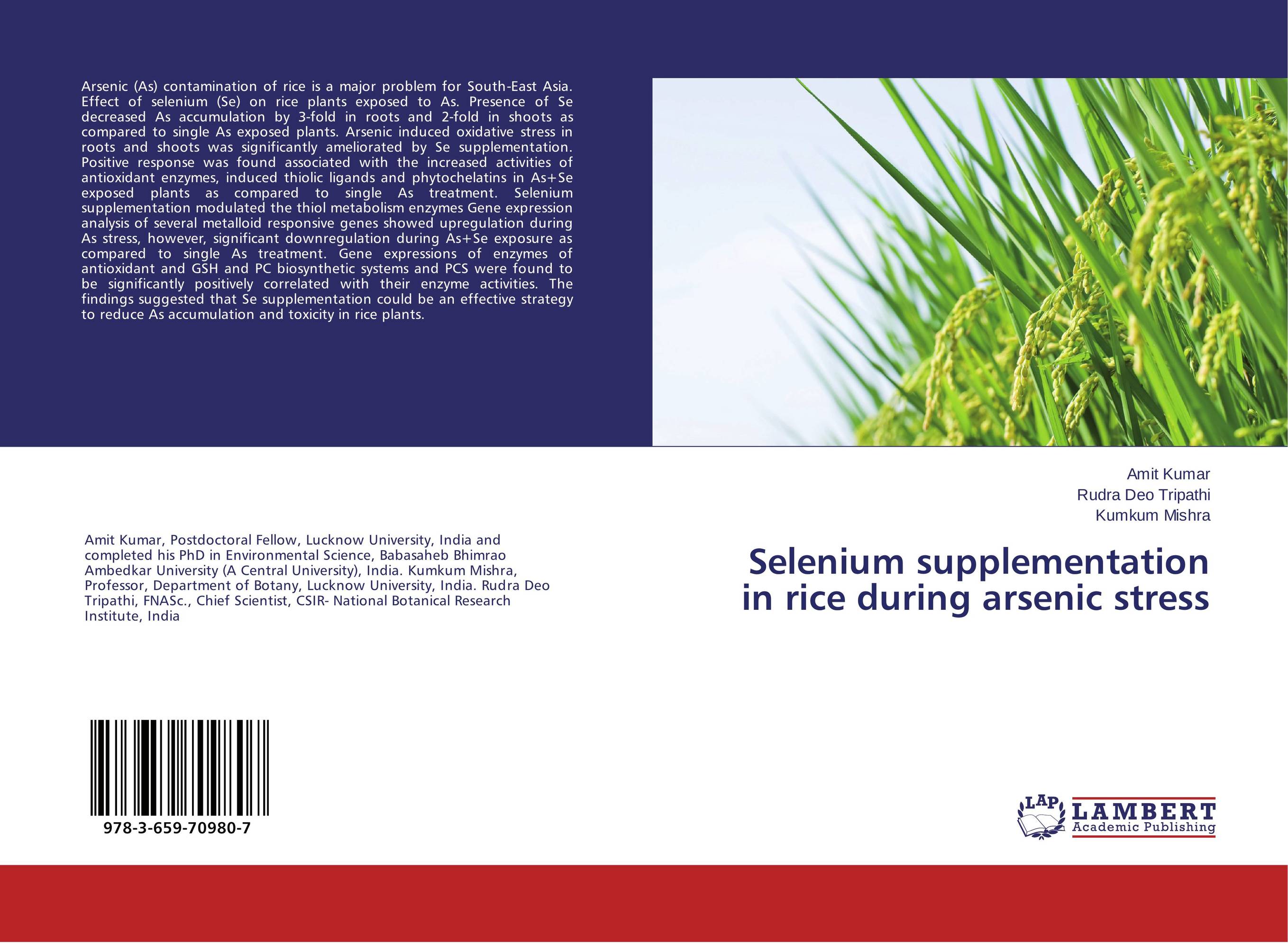 Selenium supplementation in rice during arsenic stress..