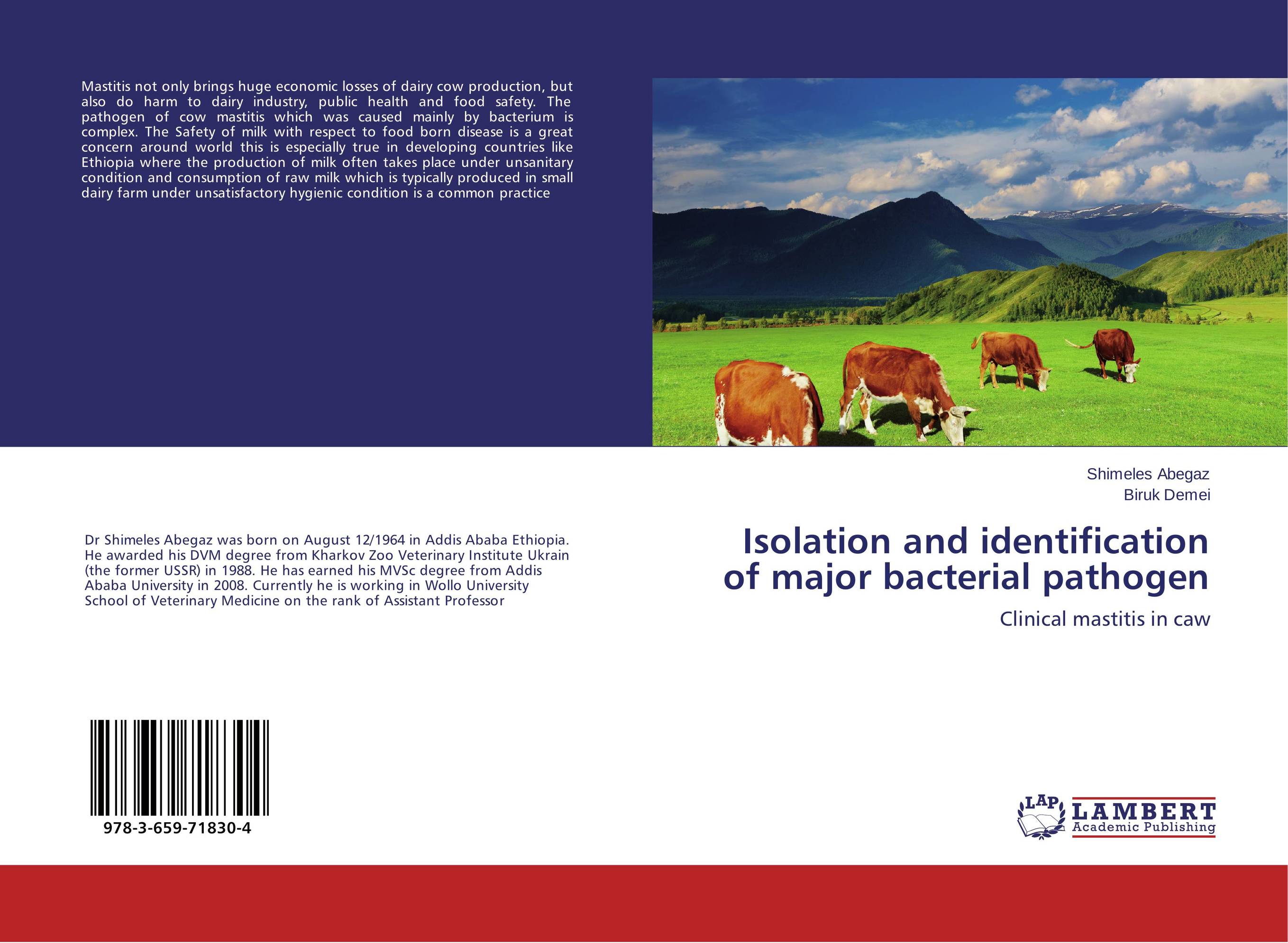 Isolation and identification of major bacterial pathogen. Clinical mastitis in caw.