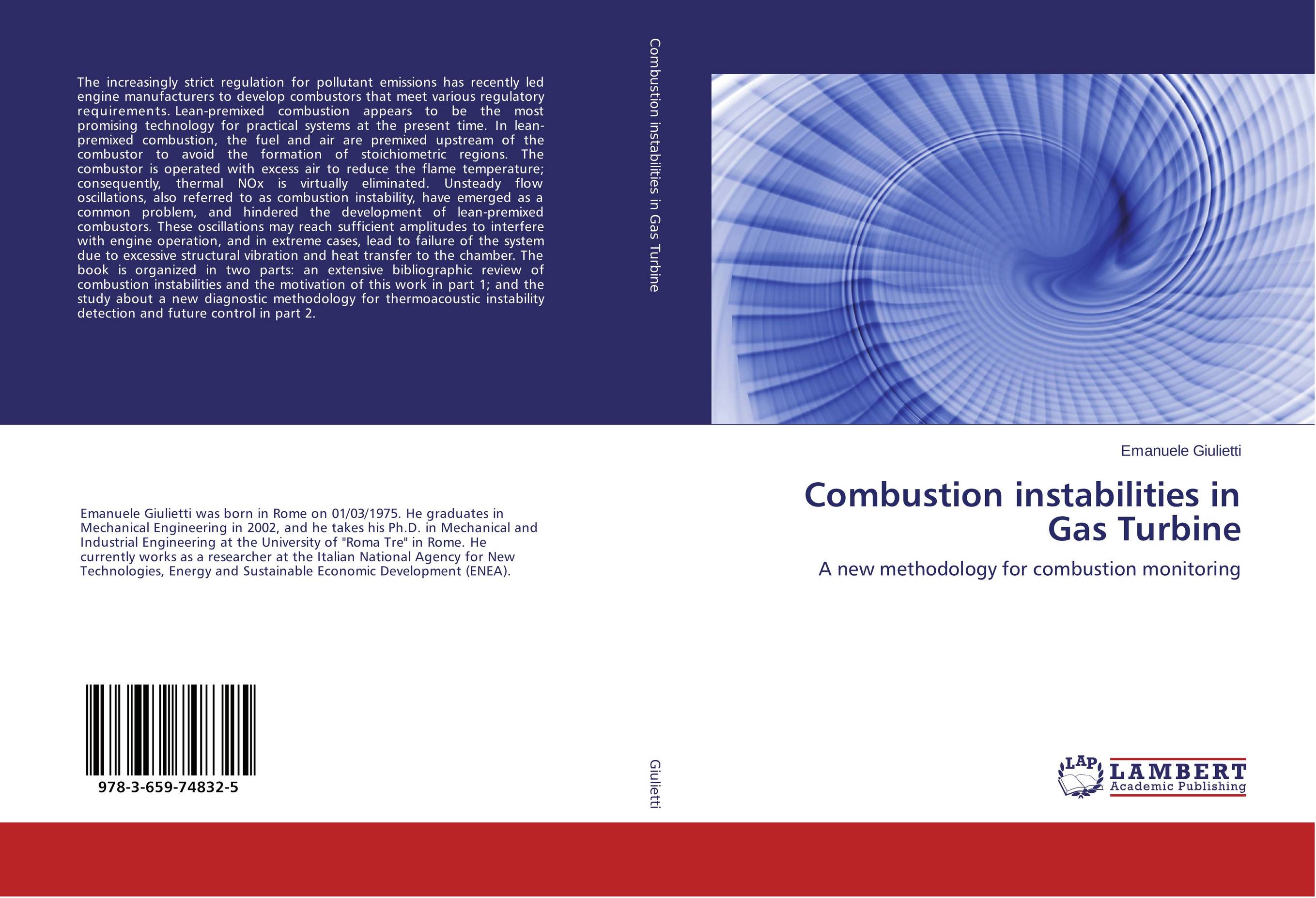 Combustion instabilities in Gas Turbine. A new methodology for combustion monitoring.