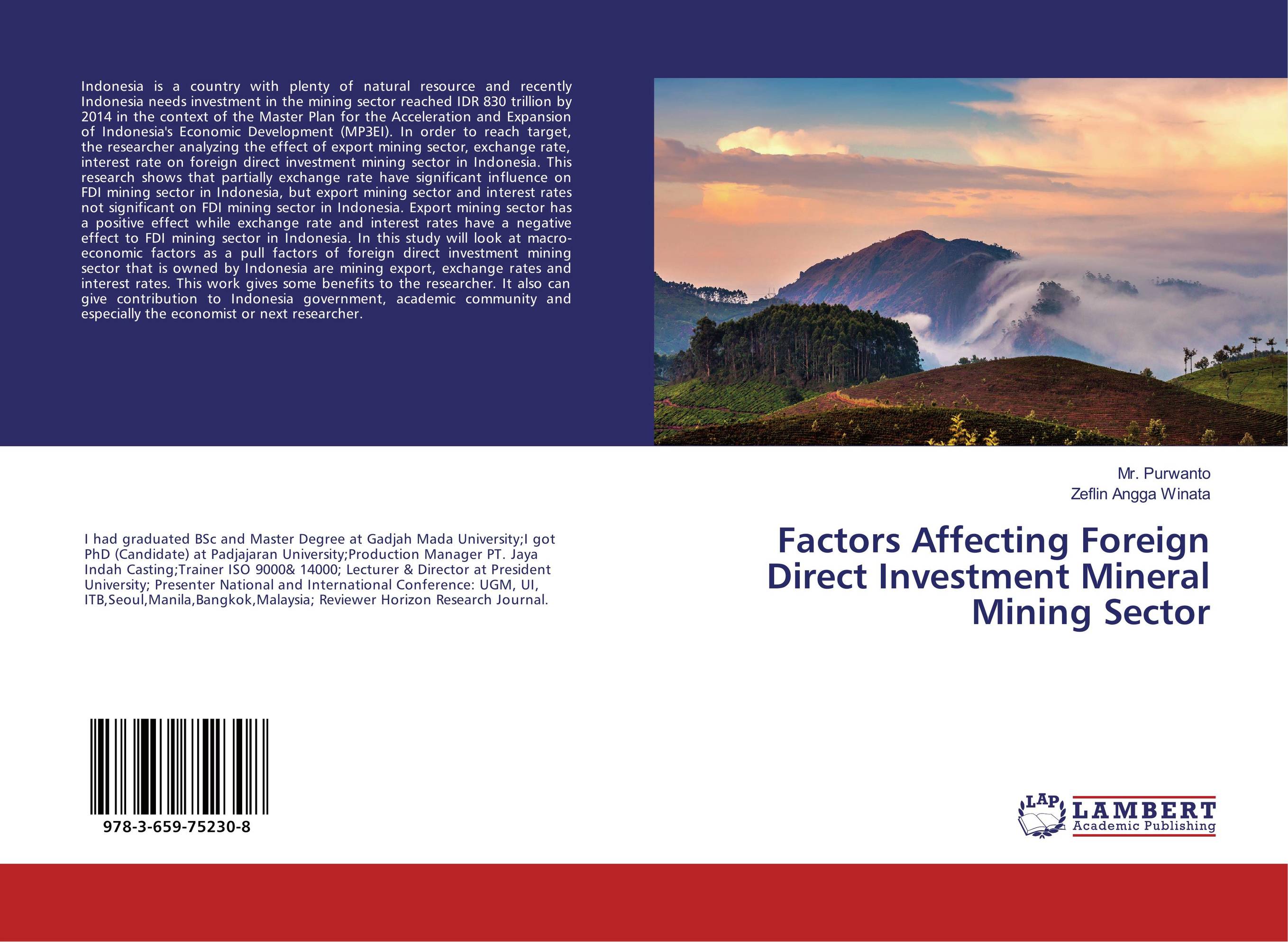 factors affecting foreign investment