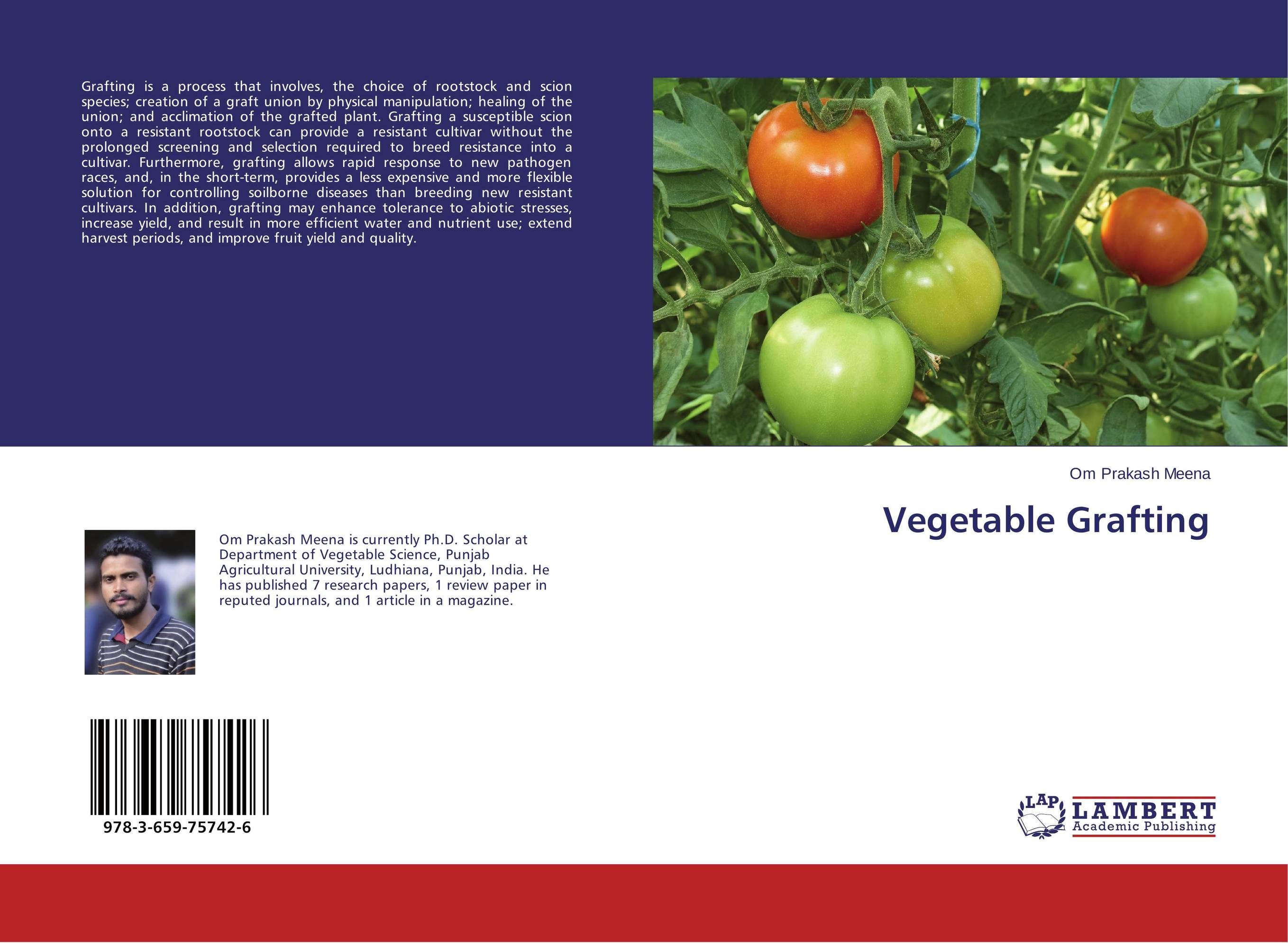 Vegetable Grafting..
