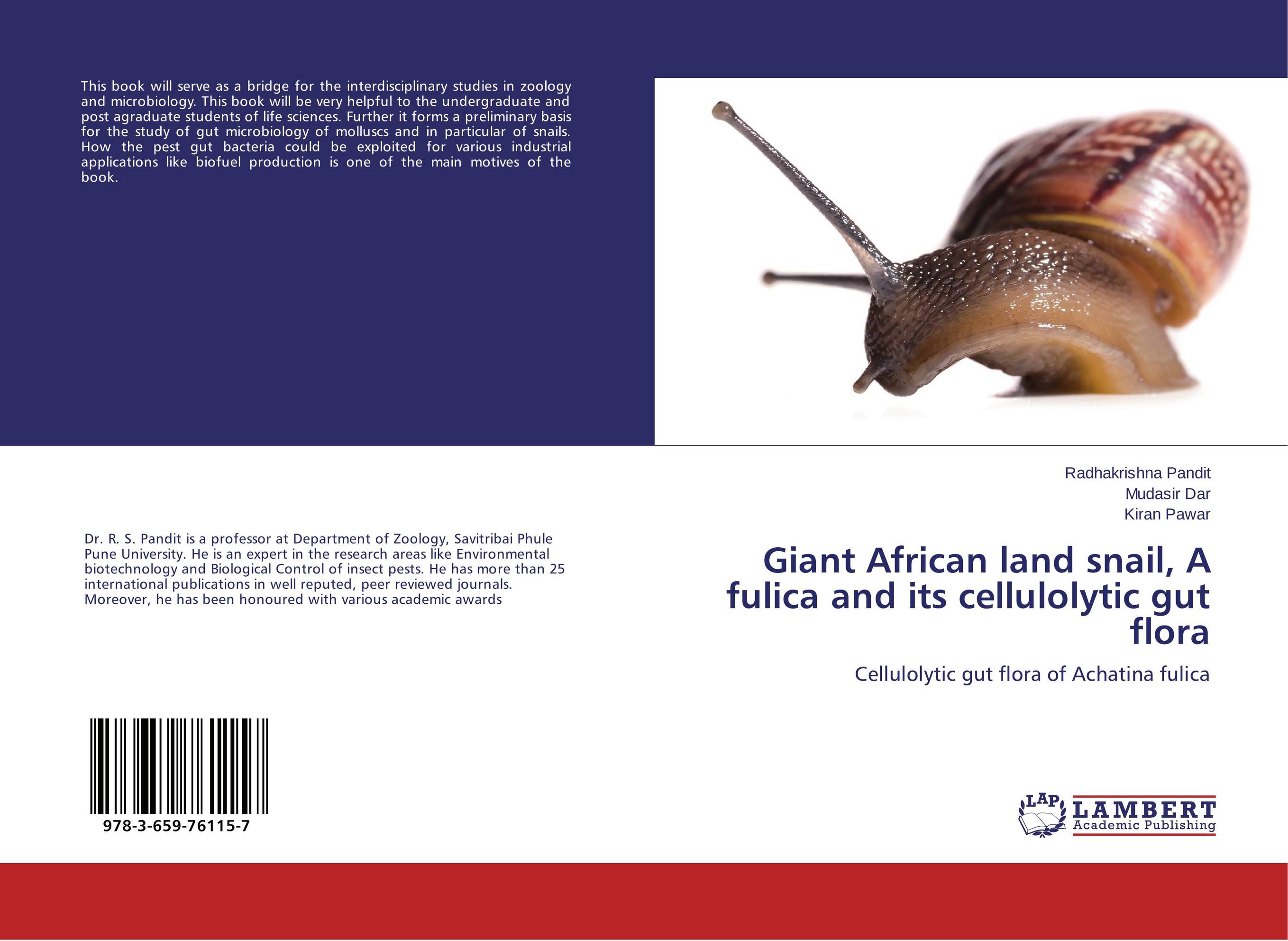 Giant African land snail, A fulica and its cellulolytic gut flora. Cellulolytic gut flora of Achatina fulica.