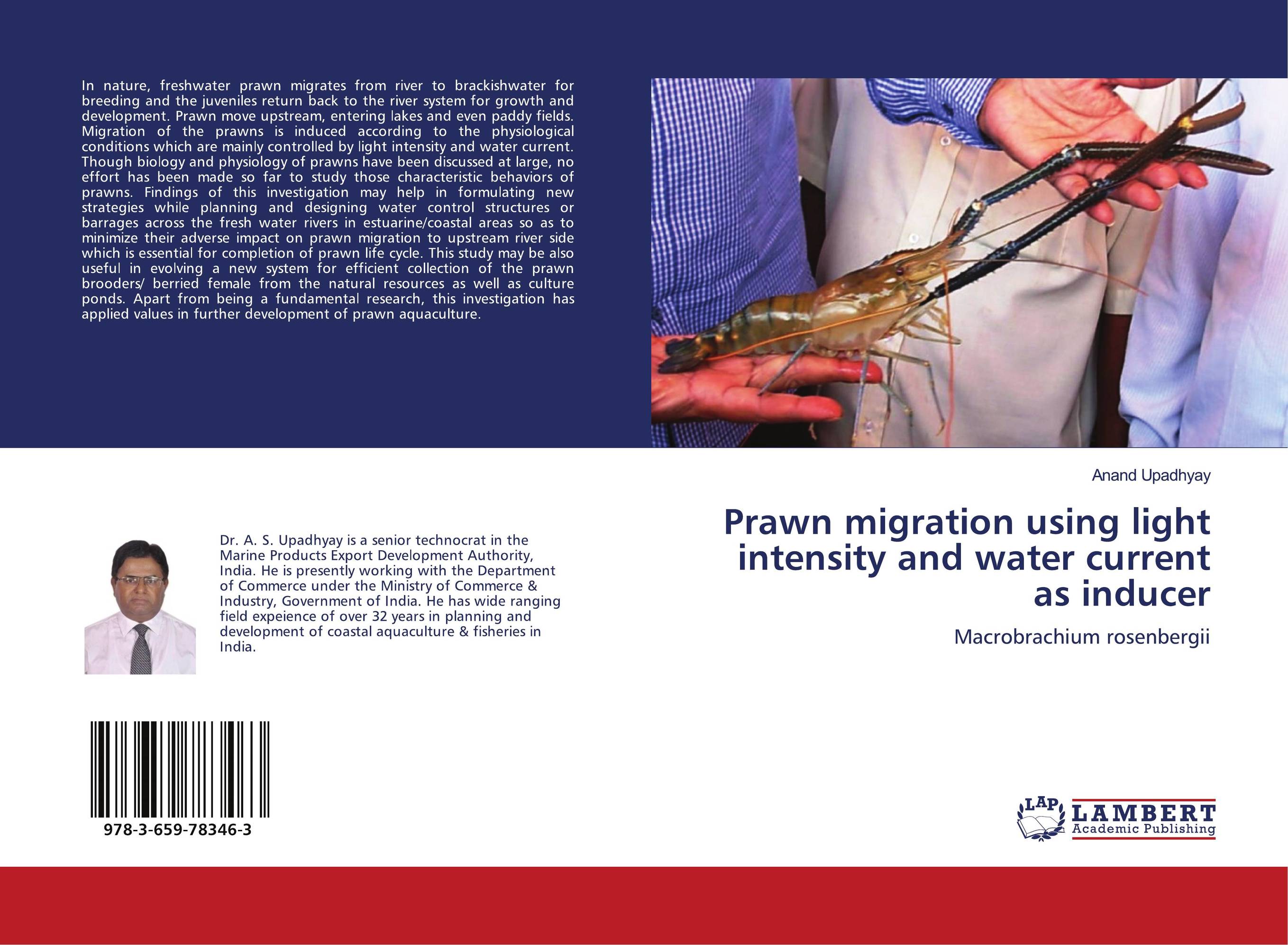 Prawn migration using light intensity and water current as inducer. Macrobrachium rosenbergii.