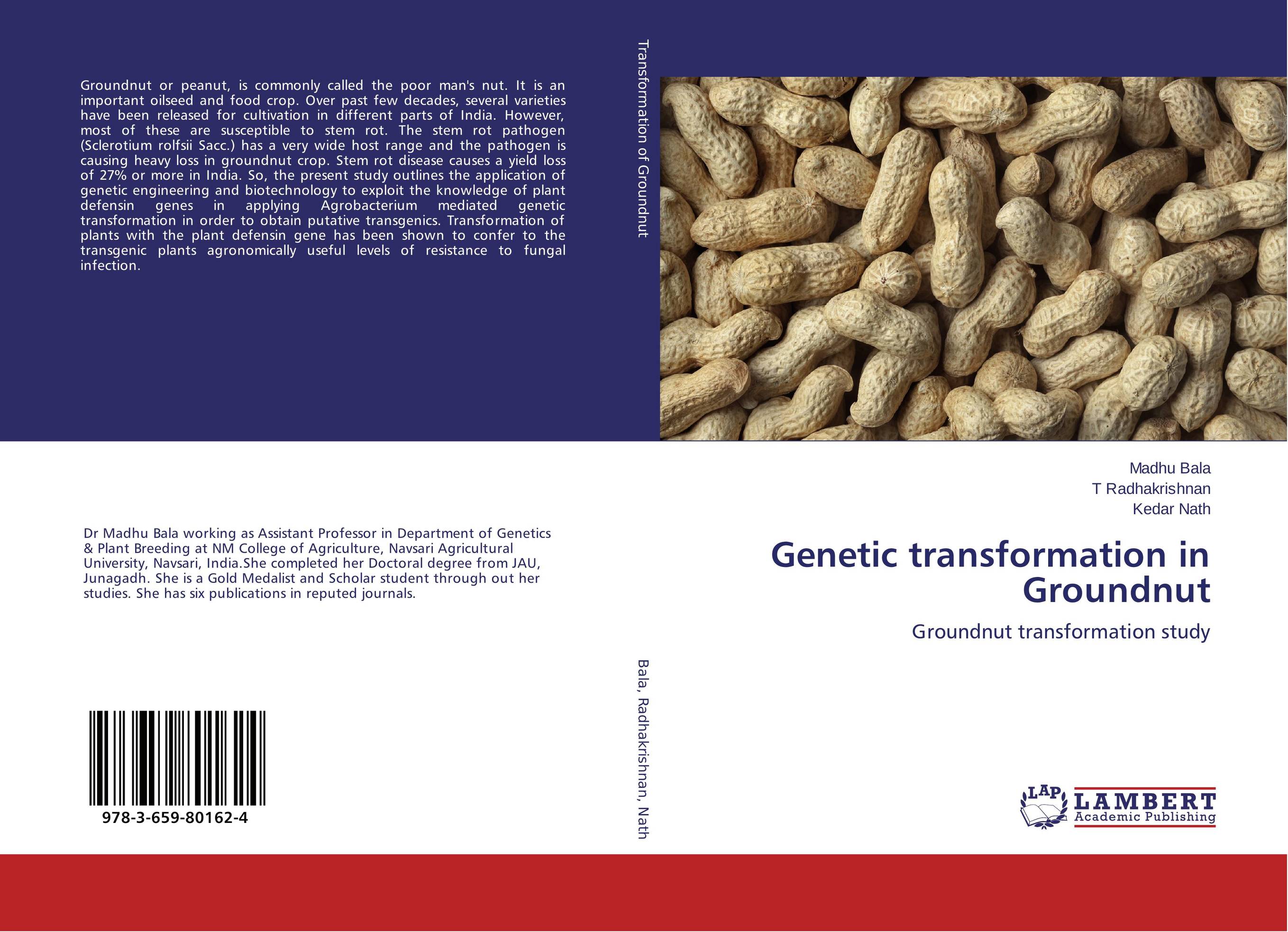 Genetic transformation in Groundnut. Groundnut transformation study.