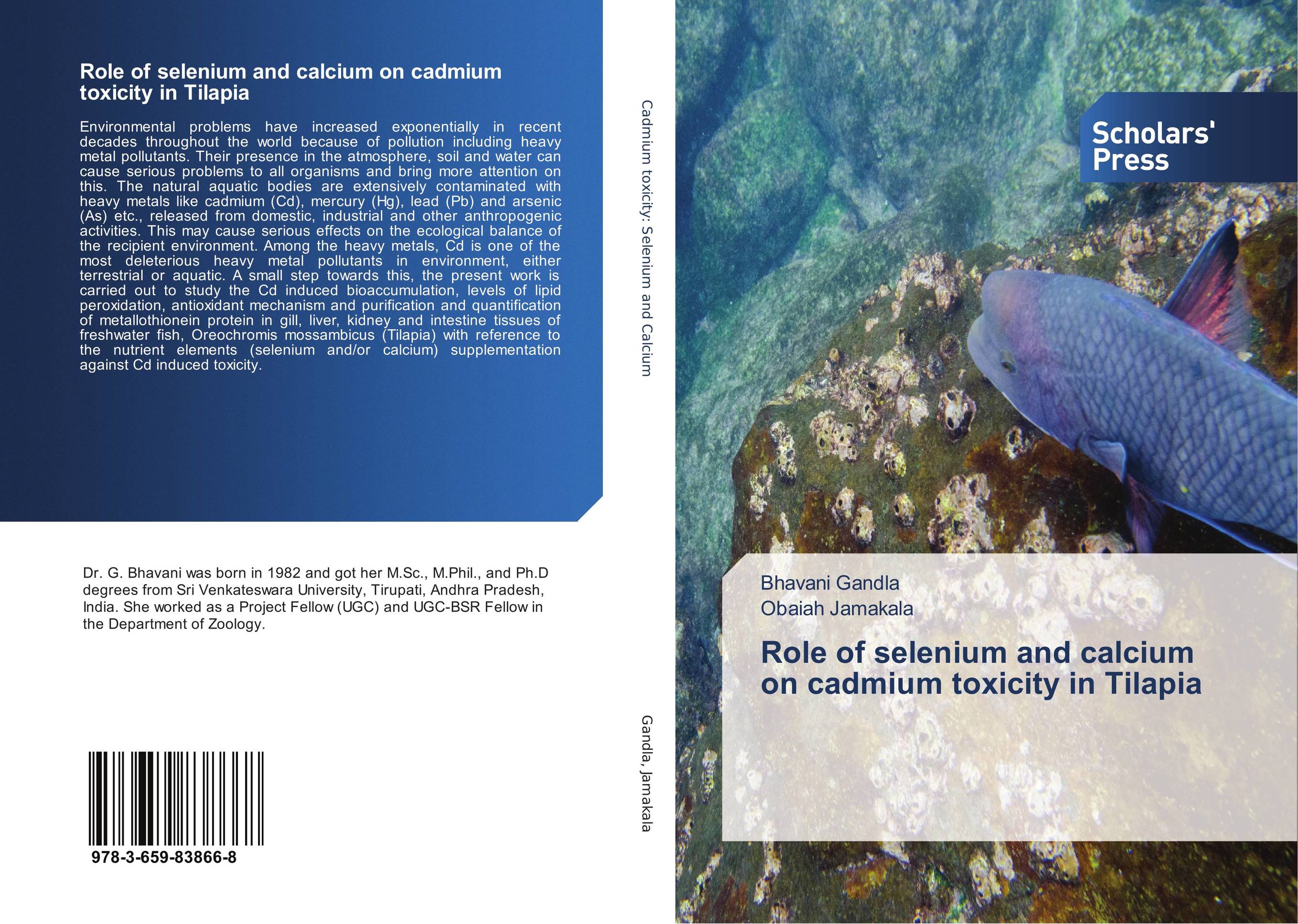 Role of selenium and calcium on cadmium toxicity in Tilapia..