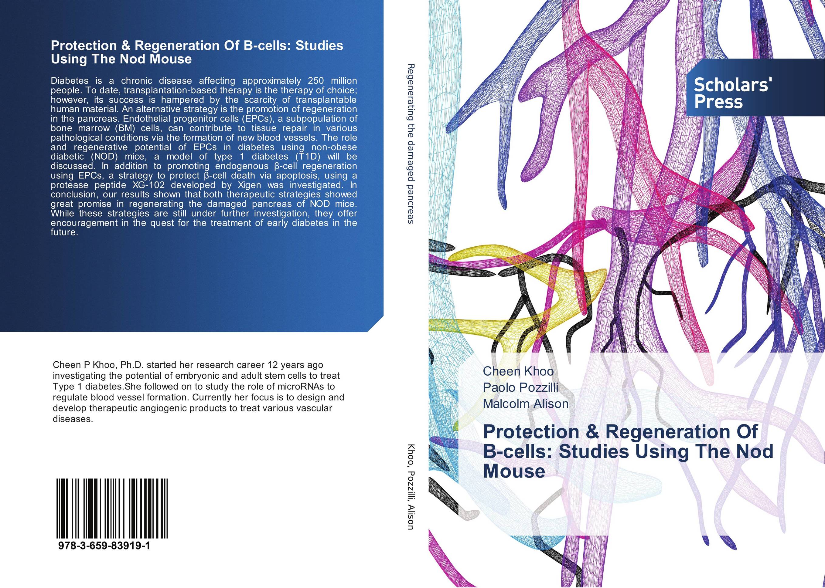 Protection &amp; Regeneration Of ?-cells: Studies Using The Nod Mouse..