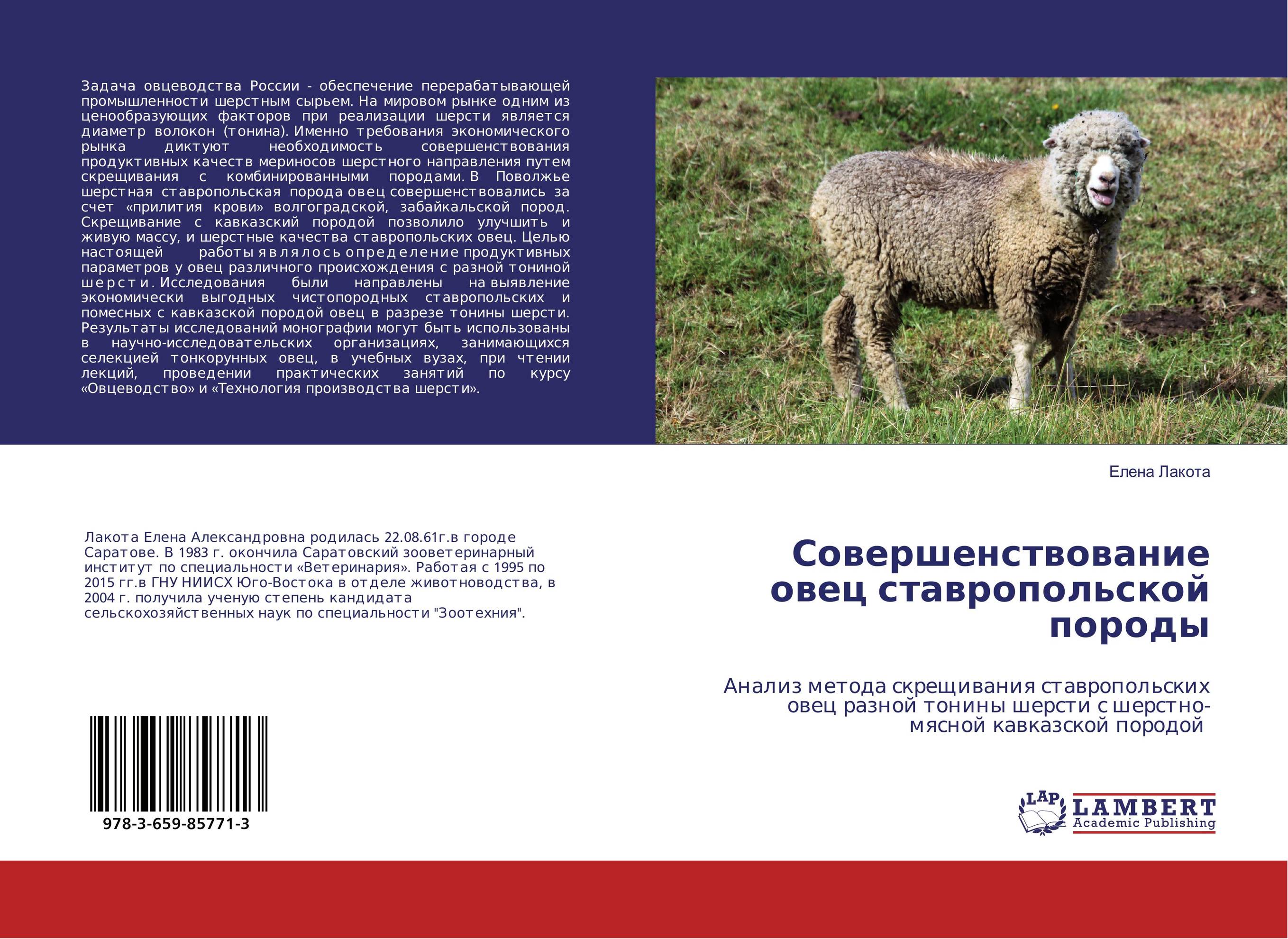 
        Совершенствование овец ставропольской породы. Анализ метода скрещивания ставропольских овец разной тонины шерсти с шерстно-мясной кавказской породой.
      