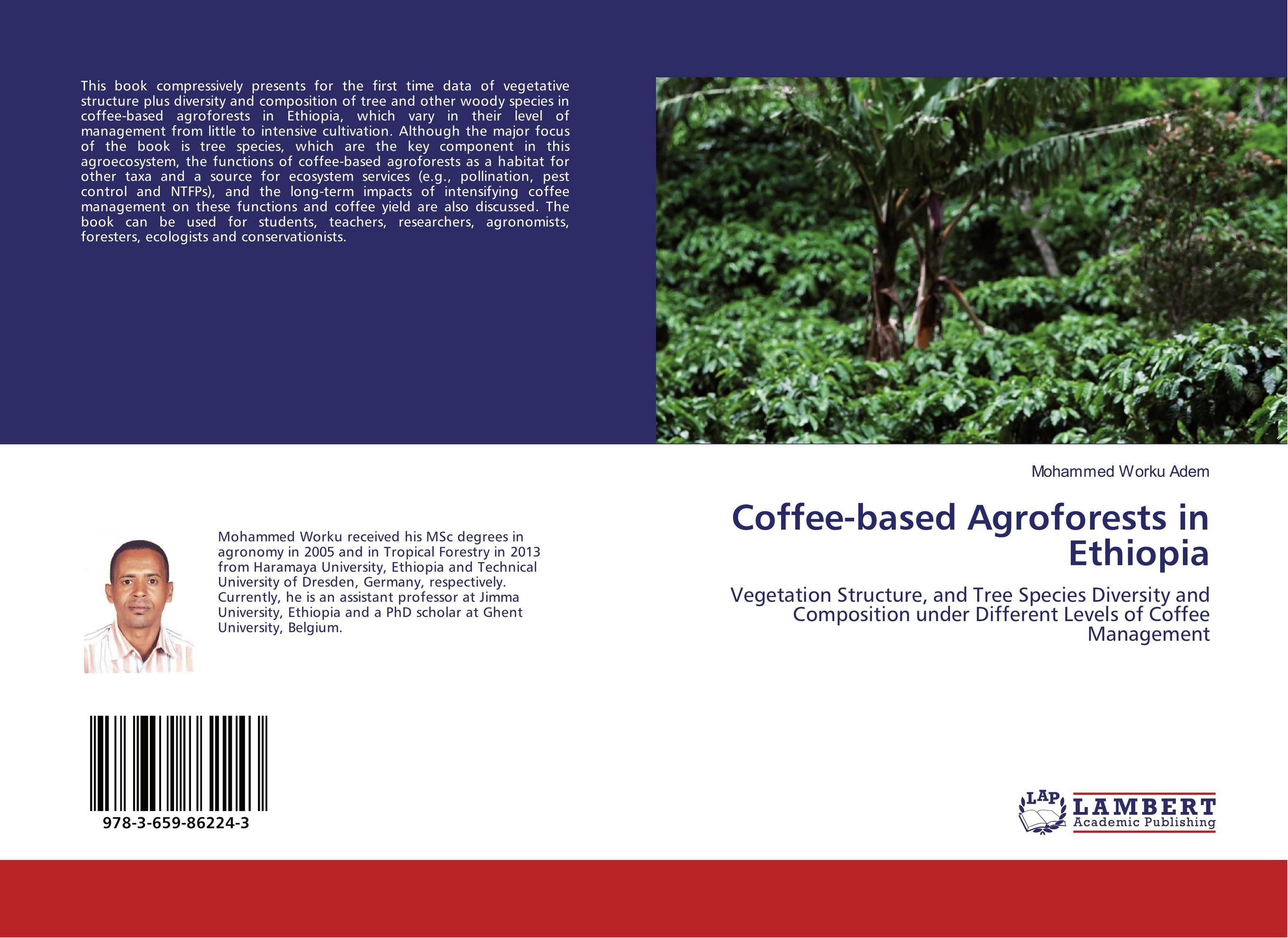 Coffee-based Agroforests in Ethiopia. Vegetation Structure, and Tree Species Diversity and Composition under Different Levels of Coffee Management.