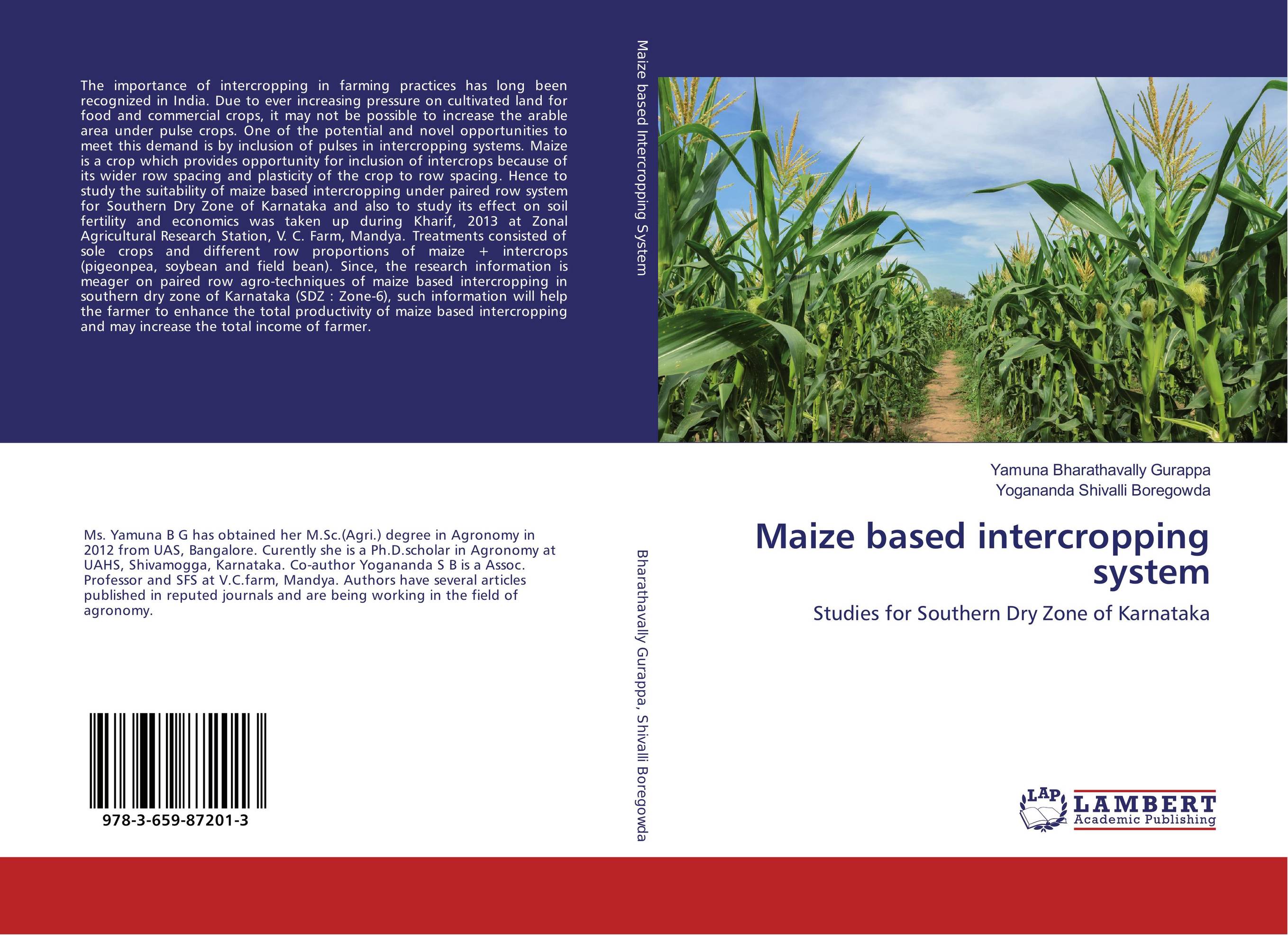 Maize based intercropping system. Studies for Southern Dry Zone of Karnataka.