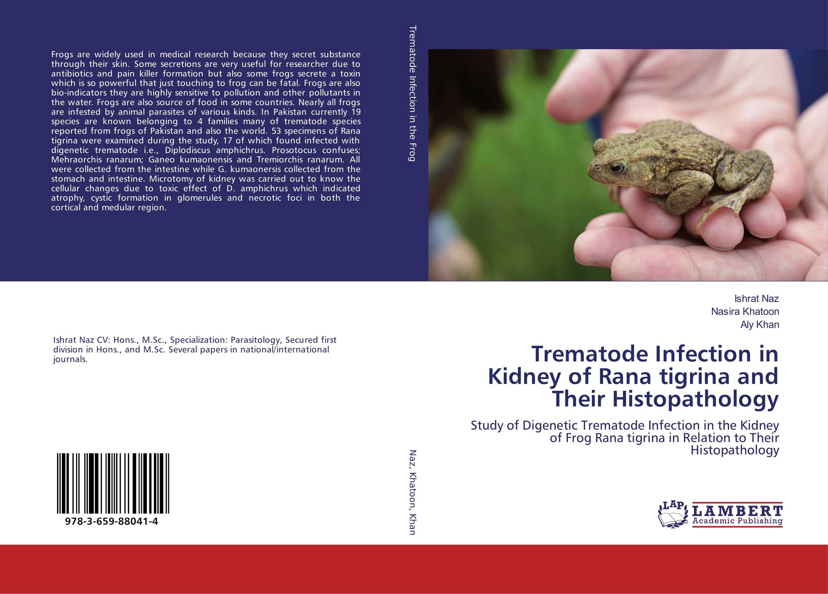 Trematode Infection in Kidney of Rana tigrina and Their Histopathology. Study of Digenetic Trematode Infection in the Kidney of Frog Rana tigrina in Relation to Their Histopathology.