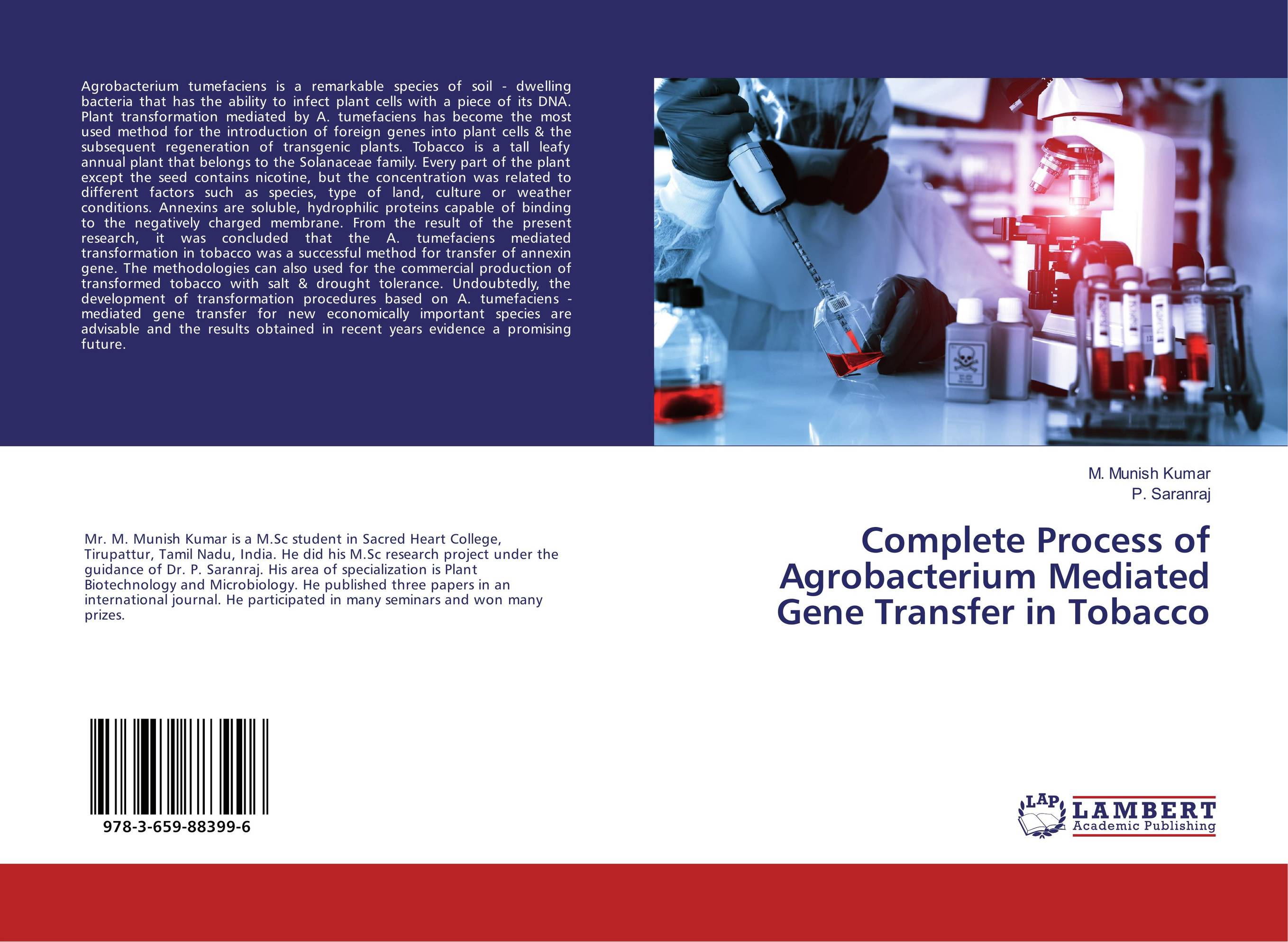 Complete Process of Agrobacterium Mediated Gene Transfer in Tobacco..