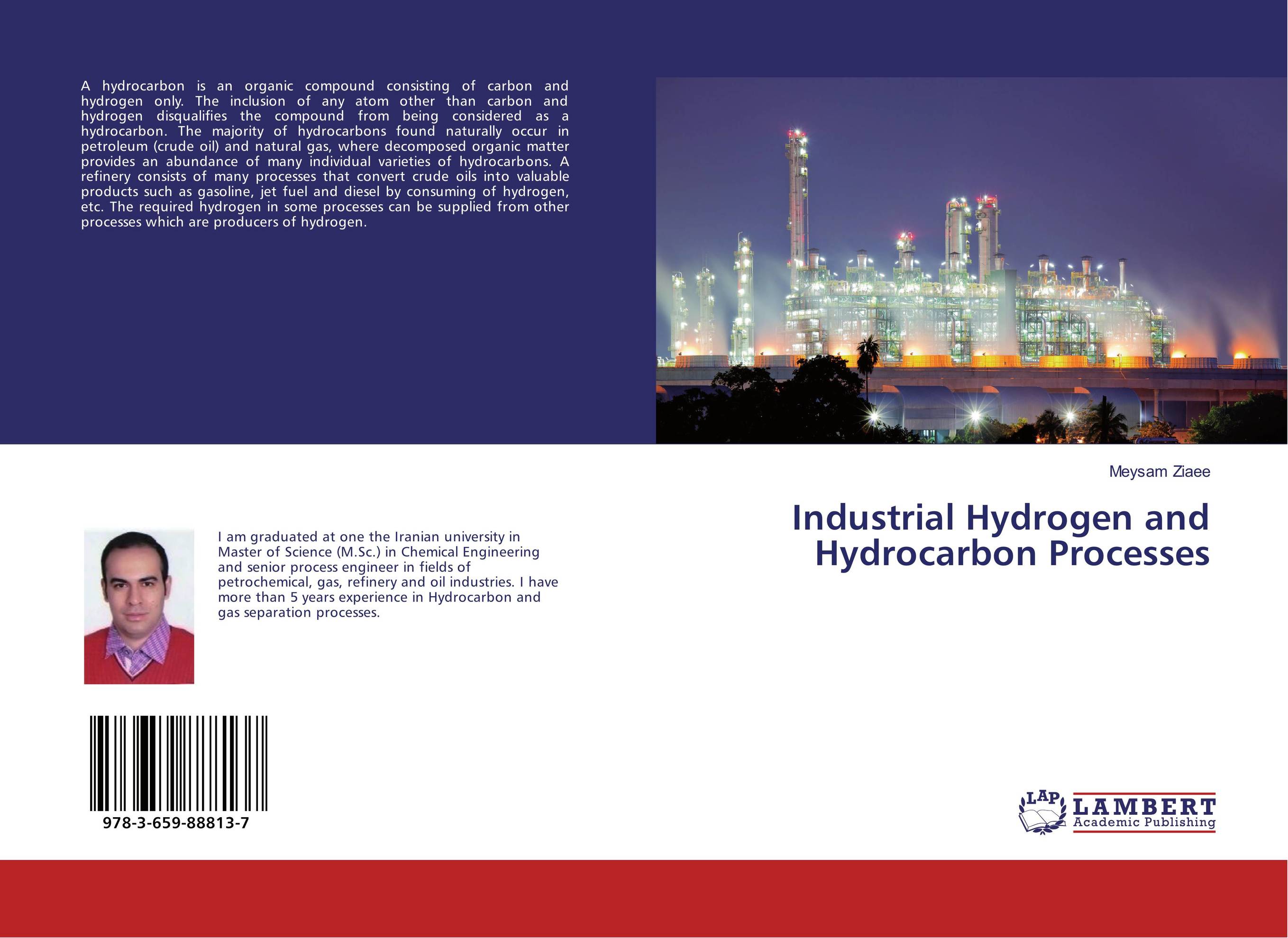 Industrial Hydrogen and Hydrocarbon Processes..