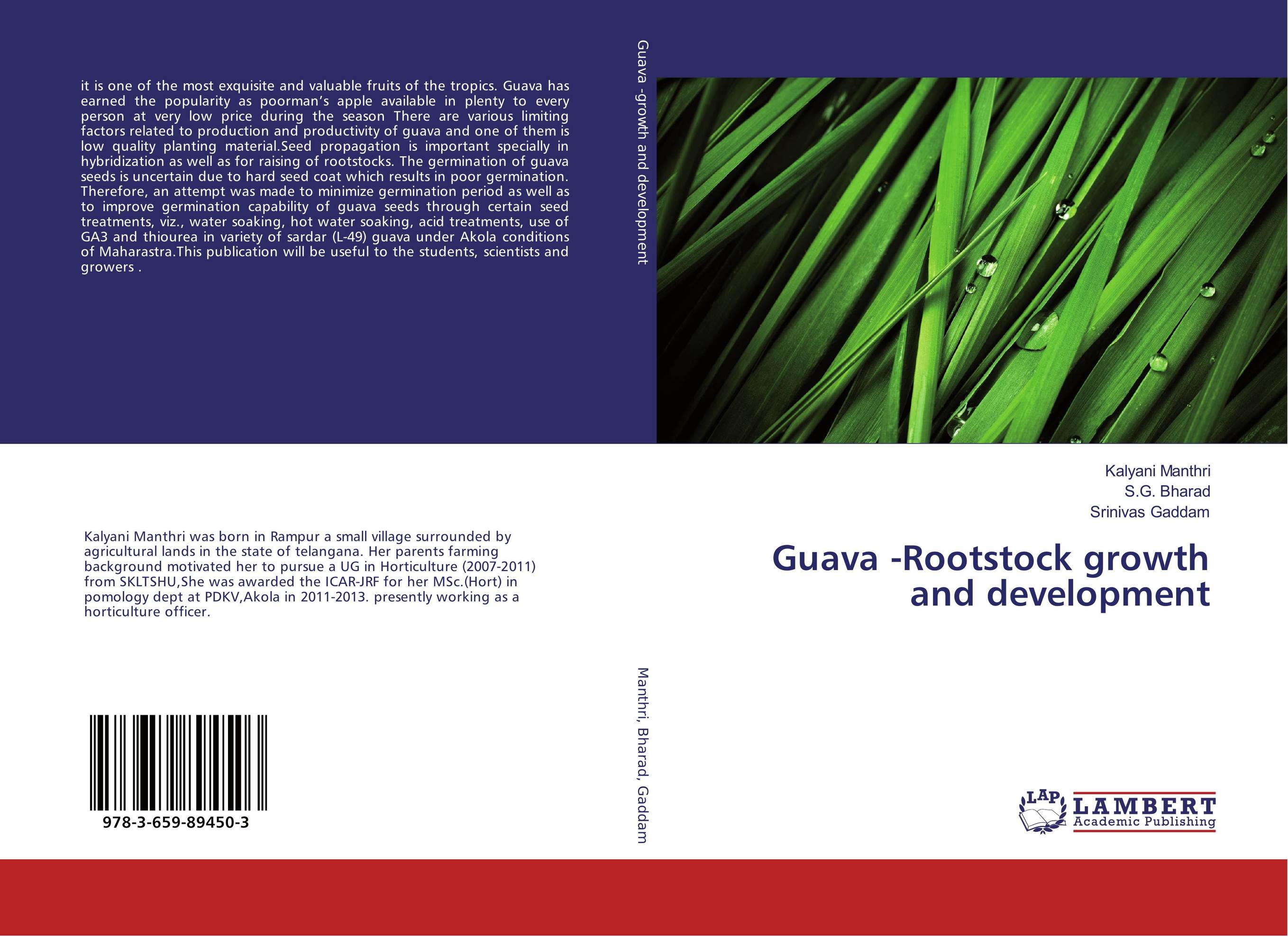 Guava -Rootstock growth and development..